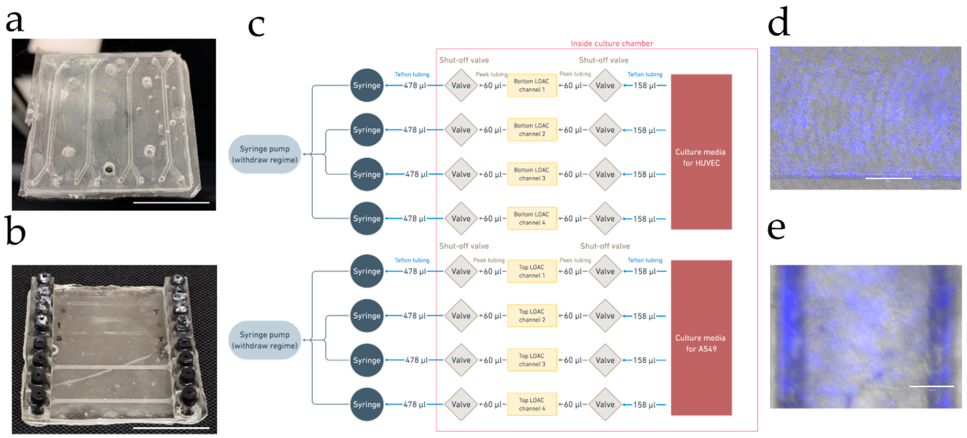 Micromachines 12 00546 g003