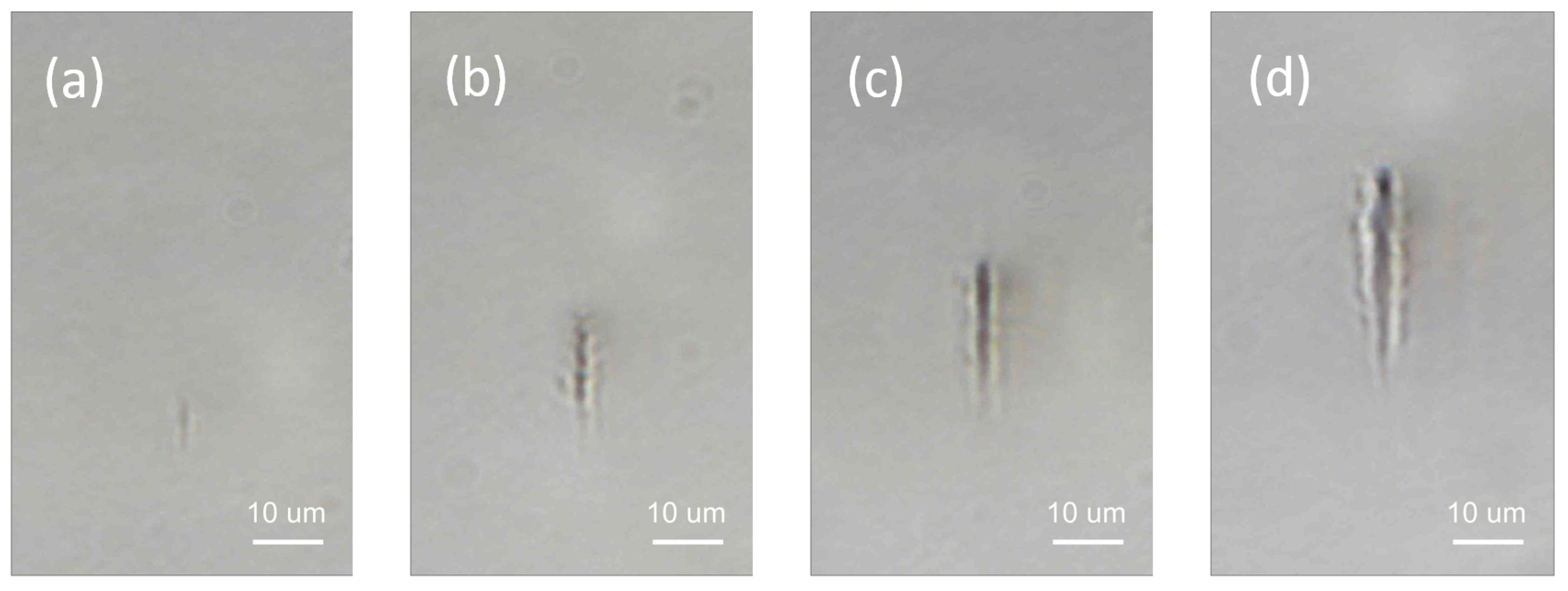 Micromachines 12 00553 g002