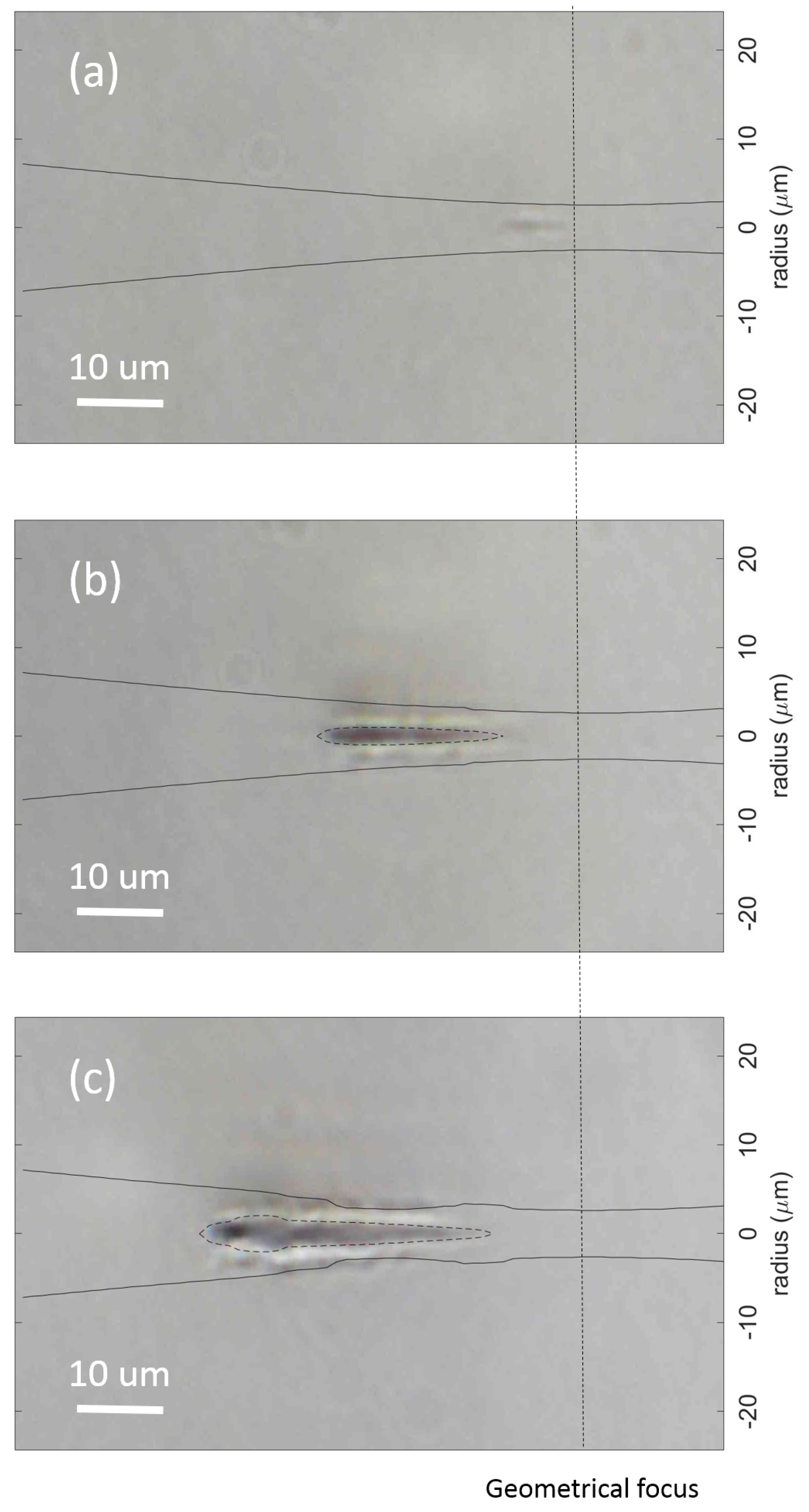 Micromachines 12 00553 g004