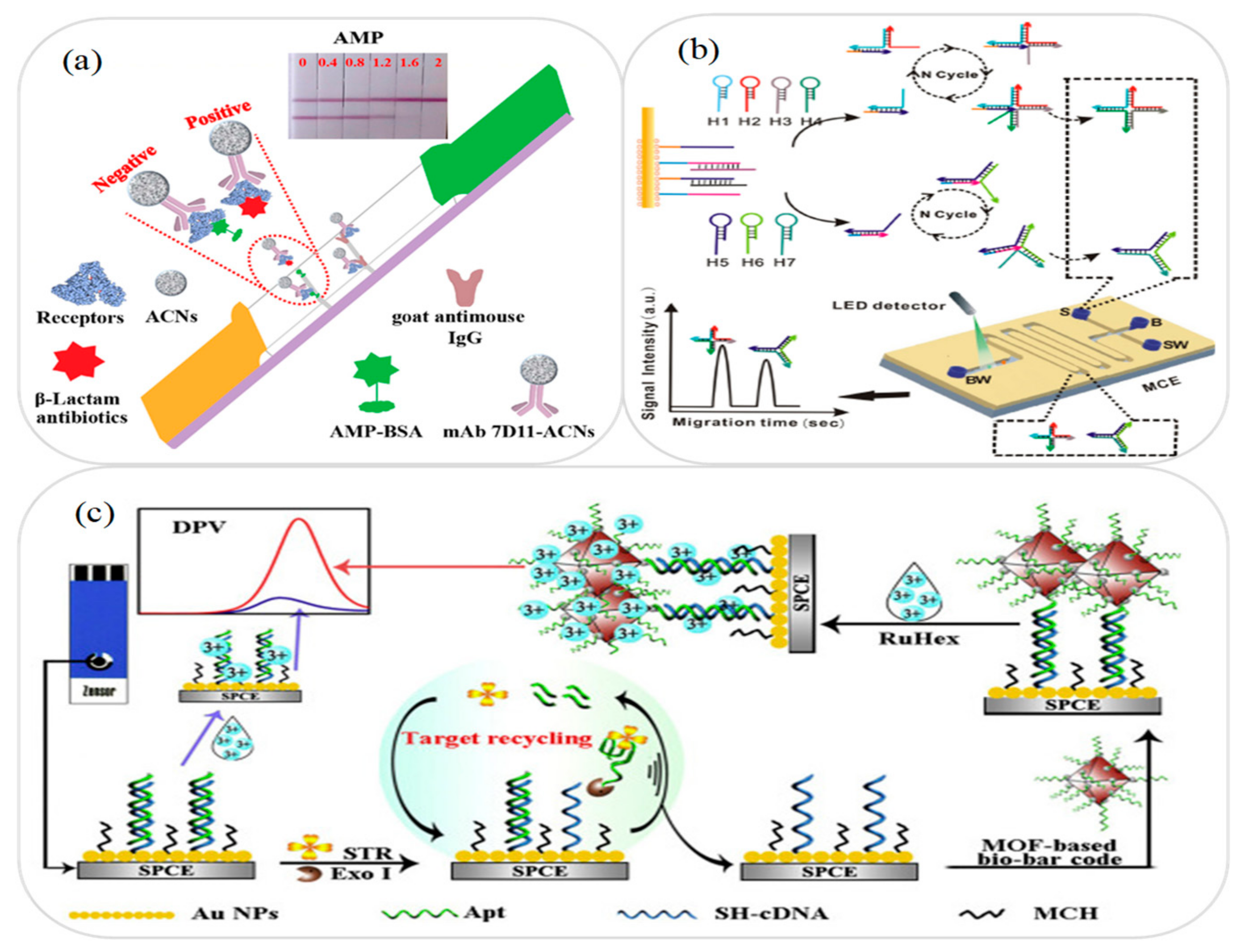 Micromachines 12 00558 g003 Micromachines 12 00558 g003