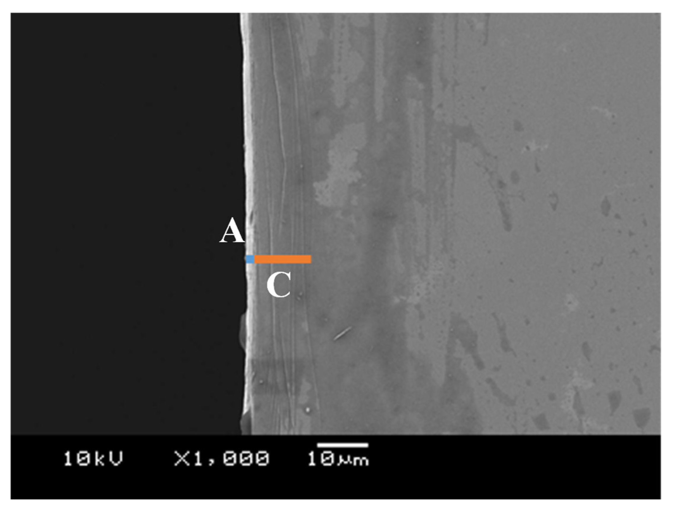Micromachines 12 00568 g008