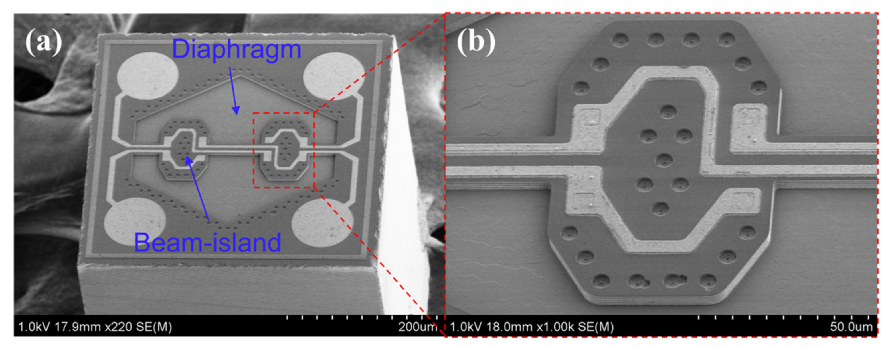 Micromachines 12 00569 g002