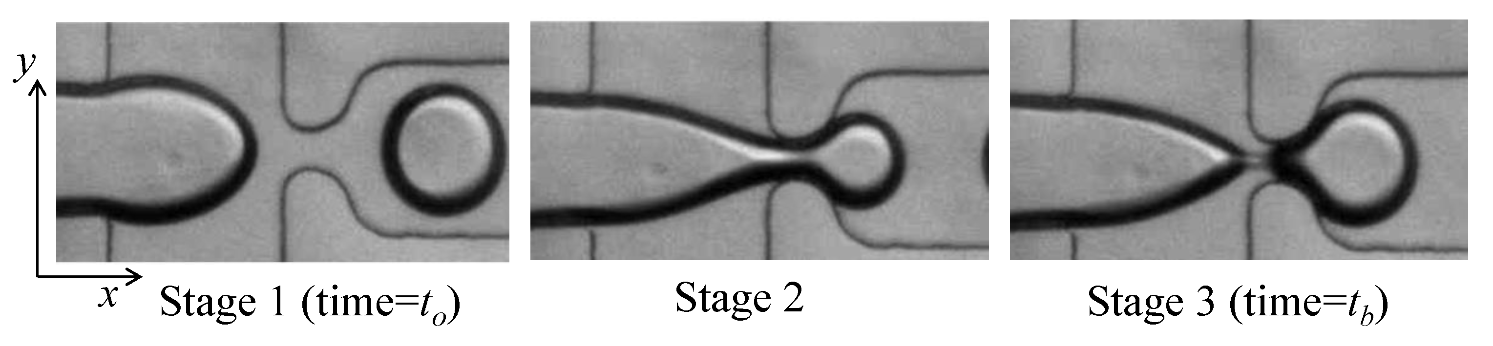 Micromachines 12 00590 g002