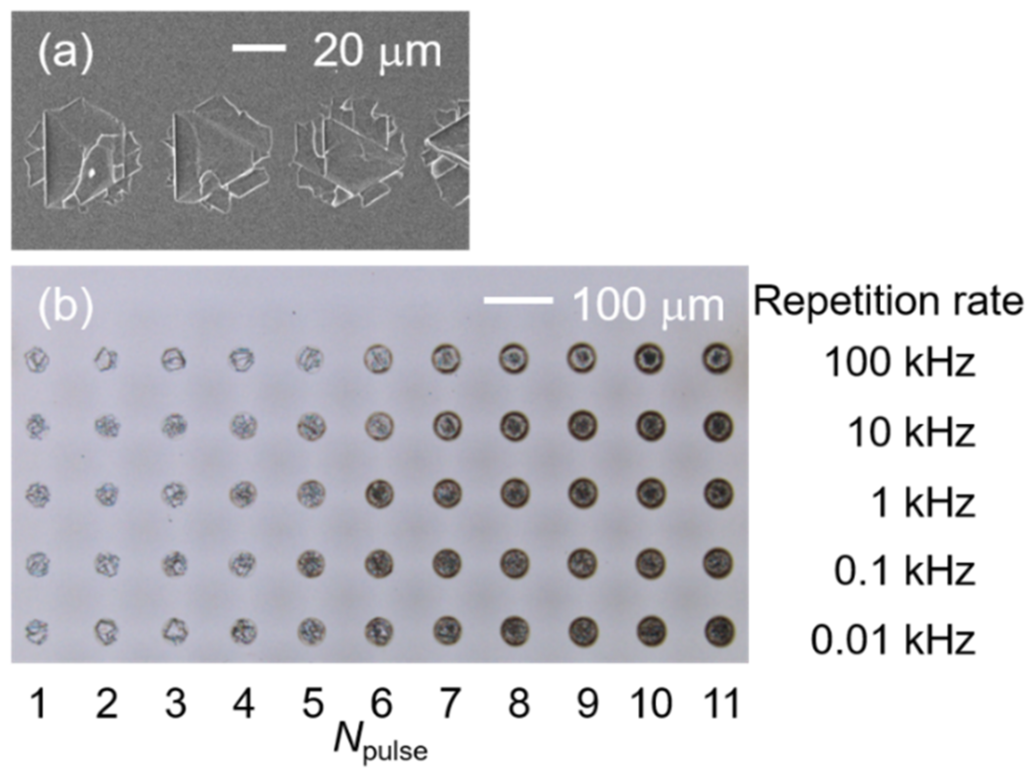 Micromachines 12 00596 g002