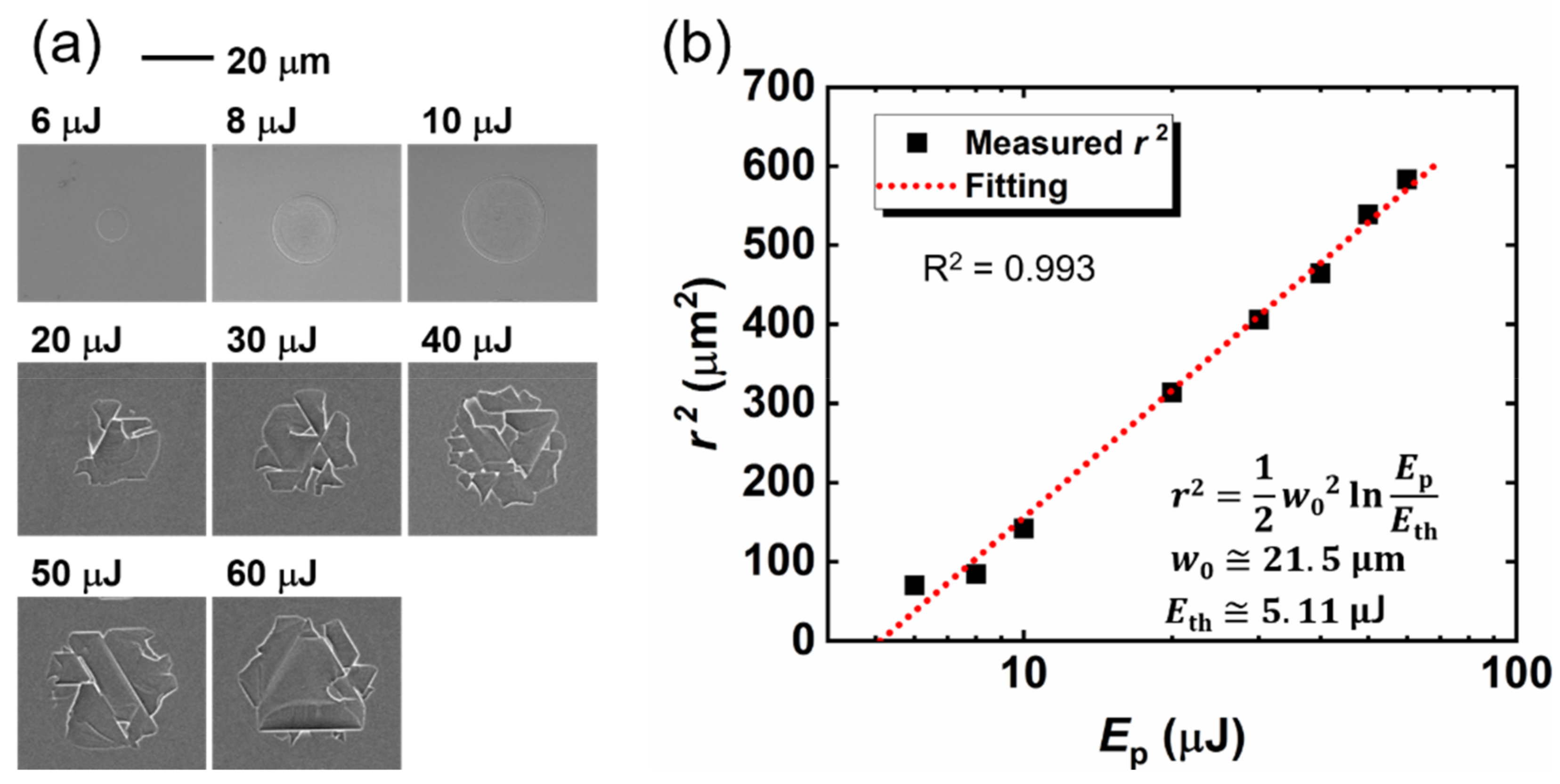 Micromachines 12 00596 g003