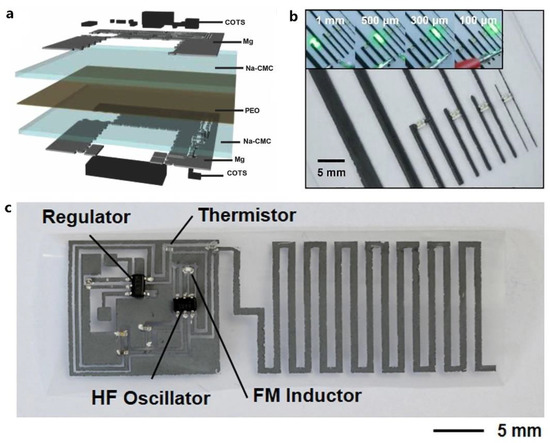 Recent Progress on Bioresorbable Passive Electronic Devices