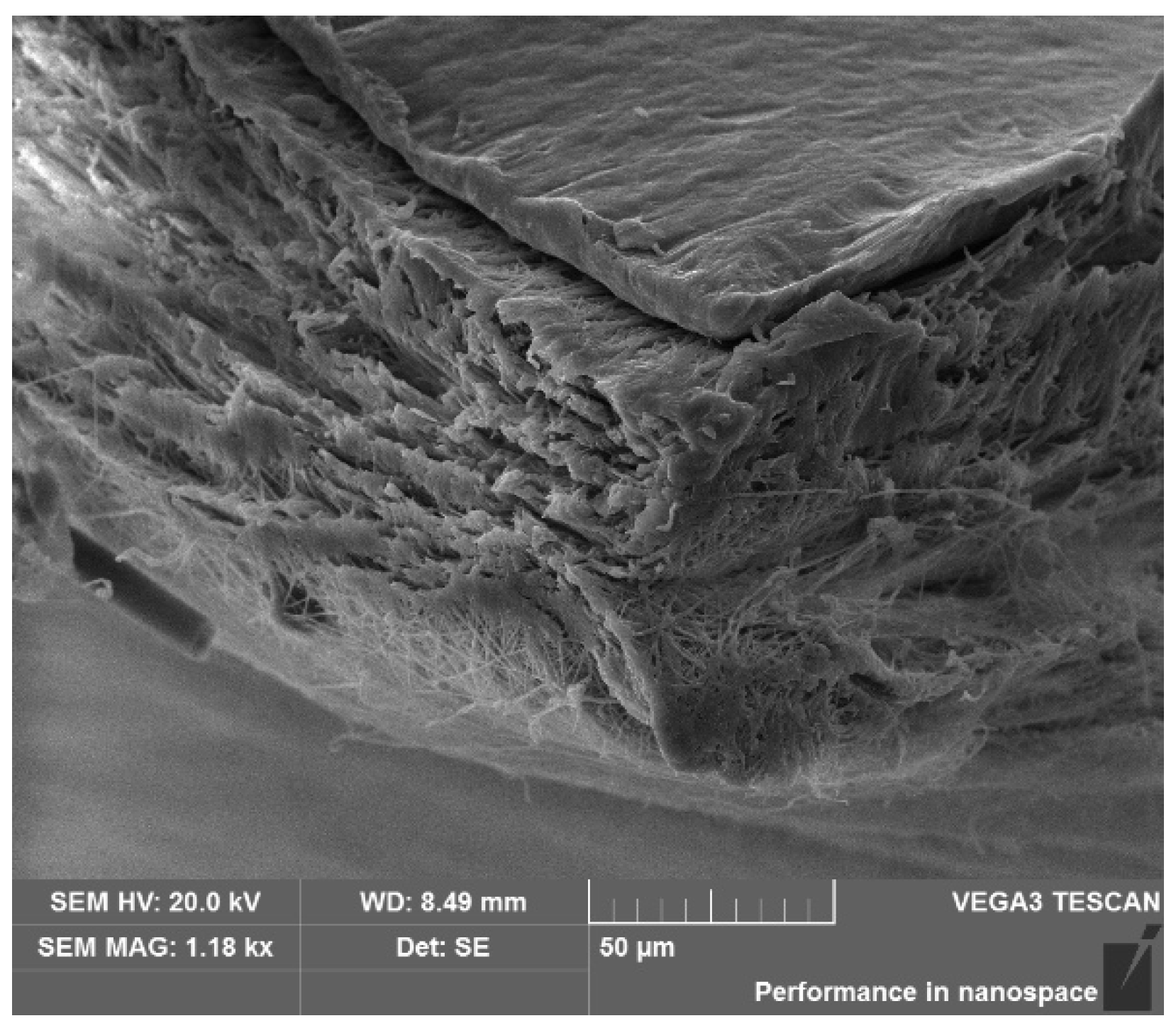 Micromachines 12 00602 g004