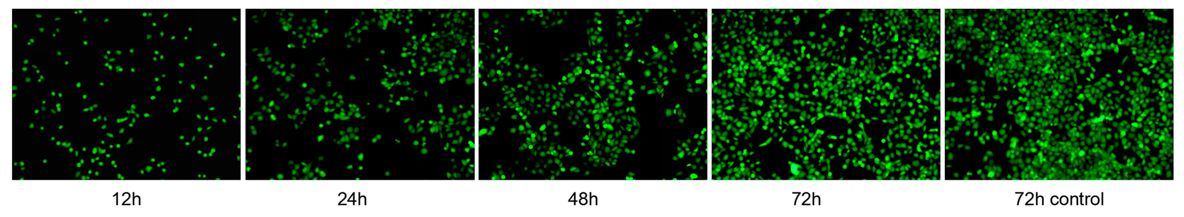 Micromachines 12 00618 g011