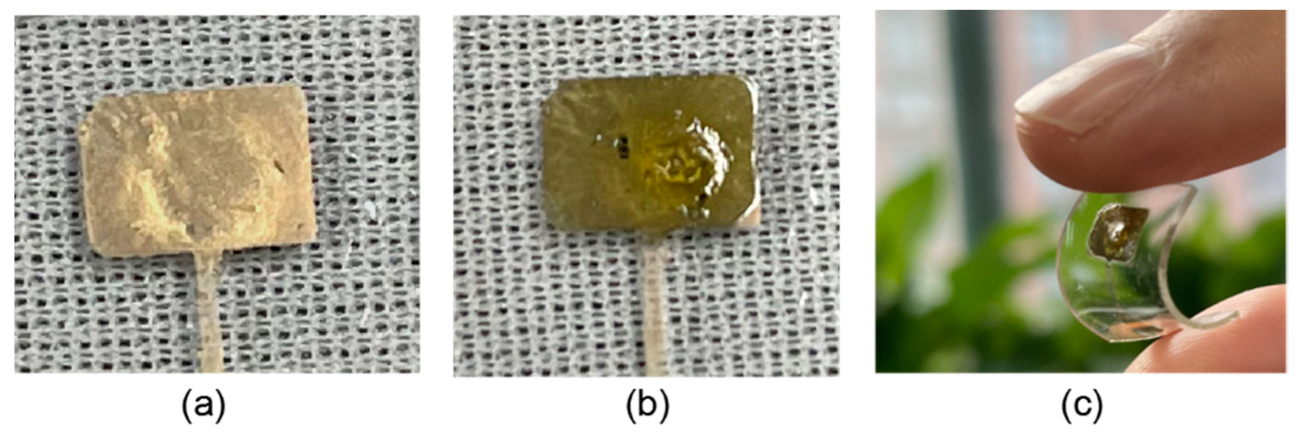 Micromachines 12 00618 g012