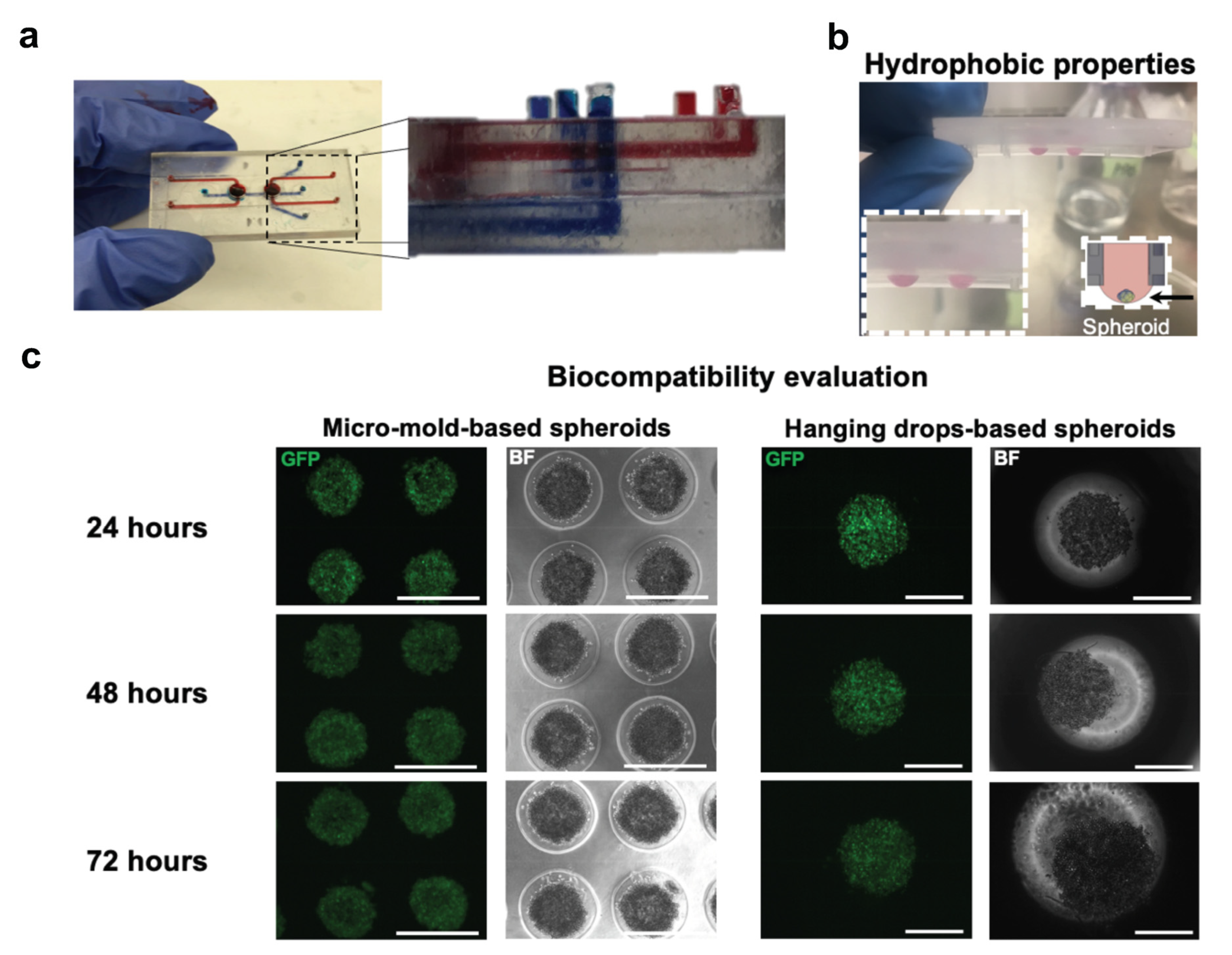 Micromachines 12 00627 g005