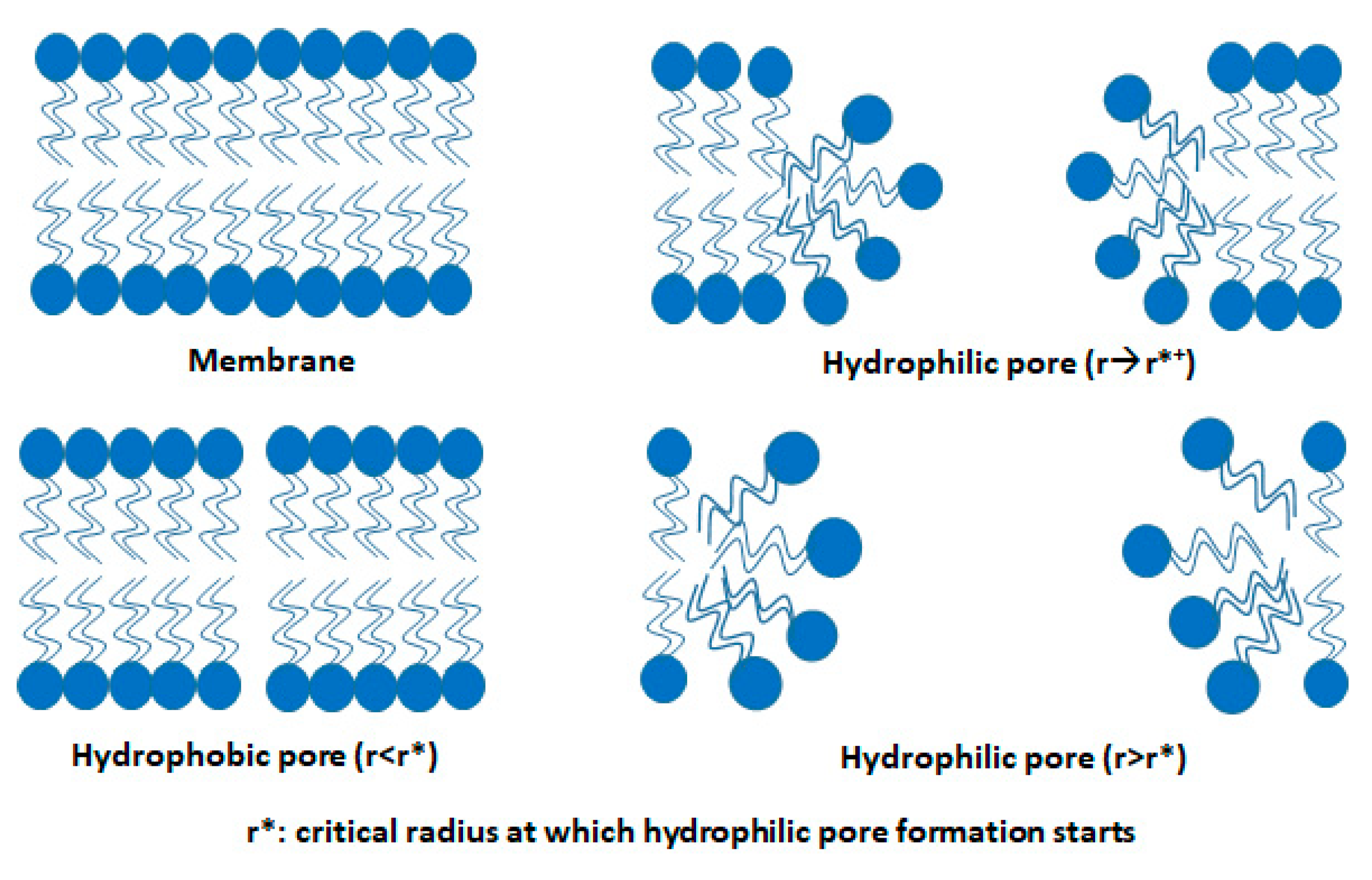 Micromachines 12 00631 g007 Micromachines 12 00631 g007