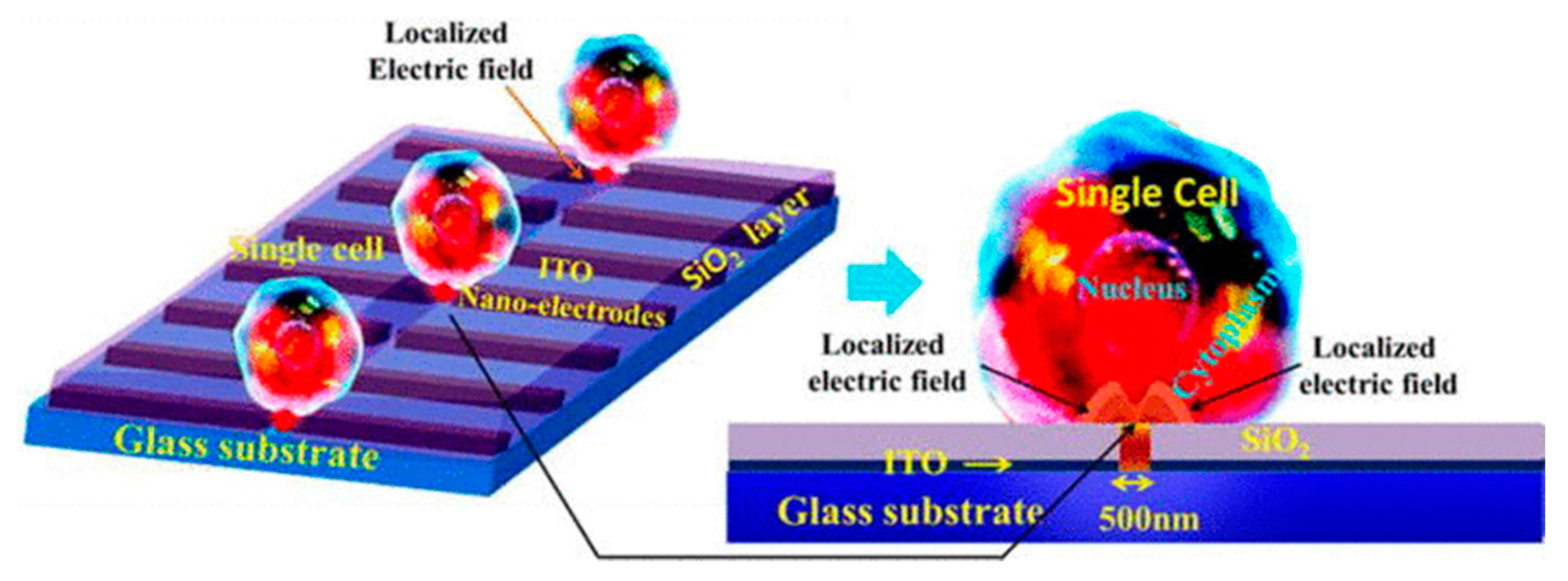 Micromachines 12 00631 g014 Micromachines 12 00631 g014