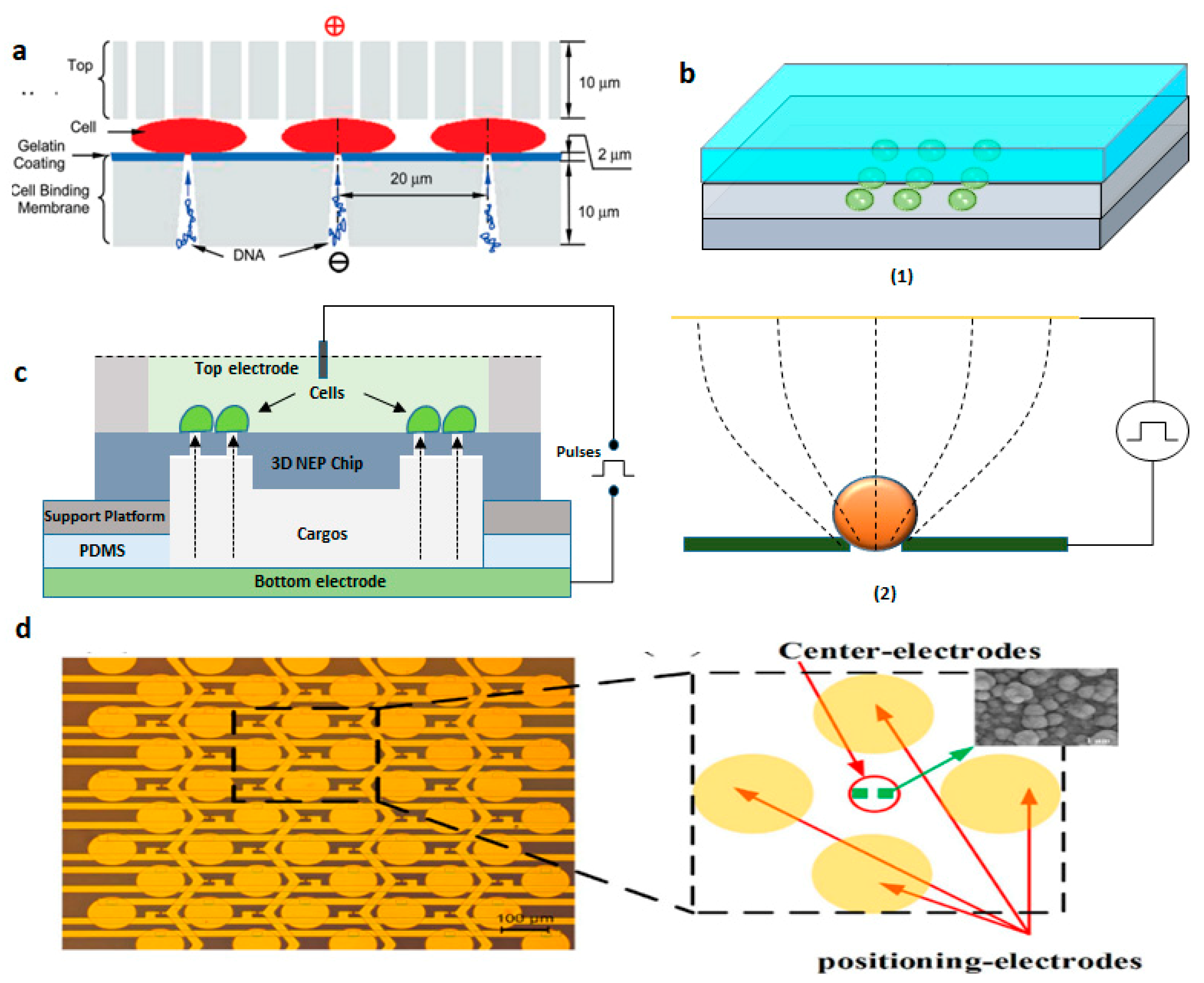 Micromachines 12 00631 g017 Micromachines 12 00631 g017