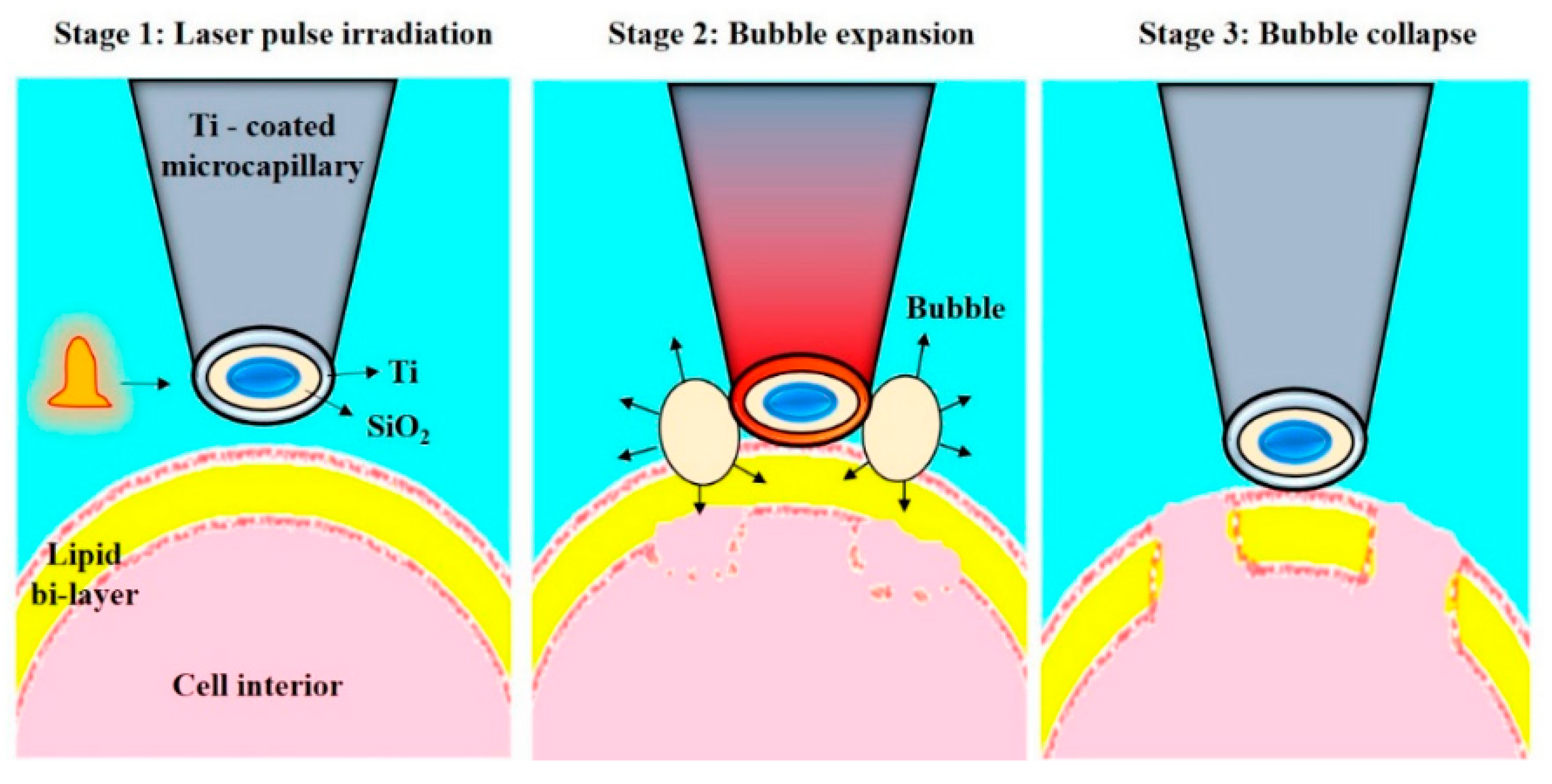 Micromachines 12 00631 g021 Micromachines 12 00631 g021