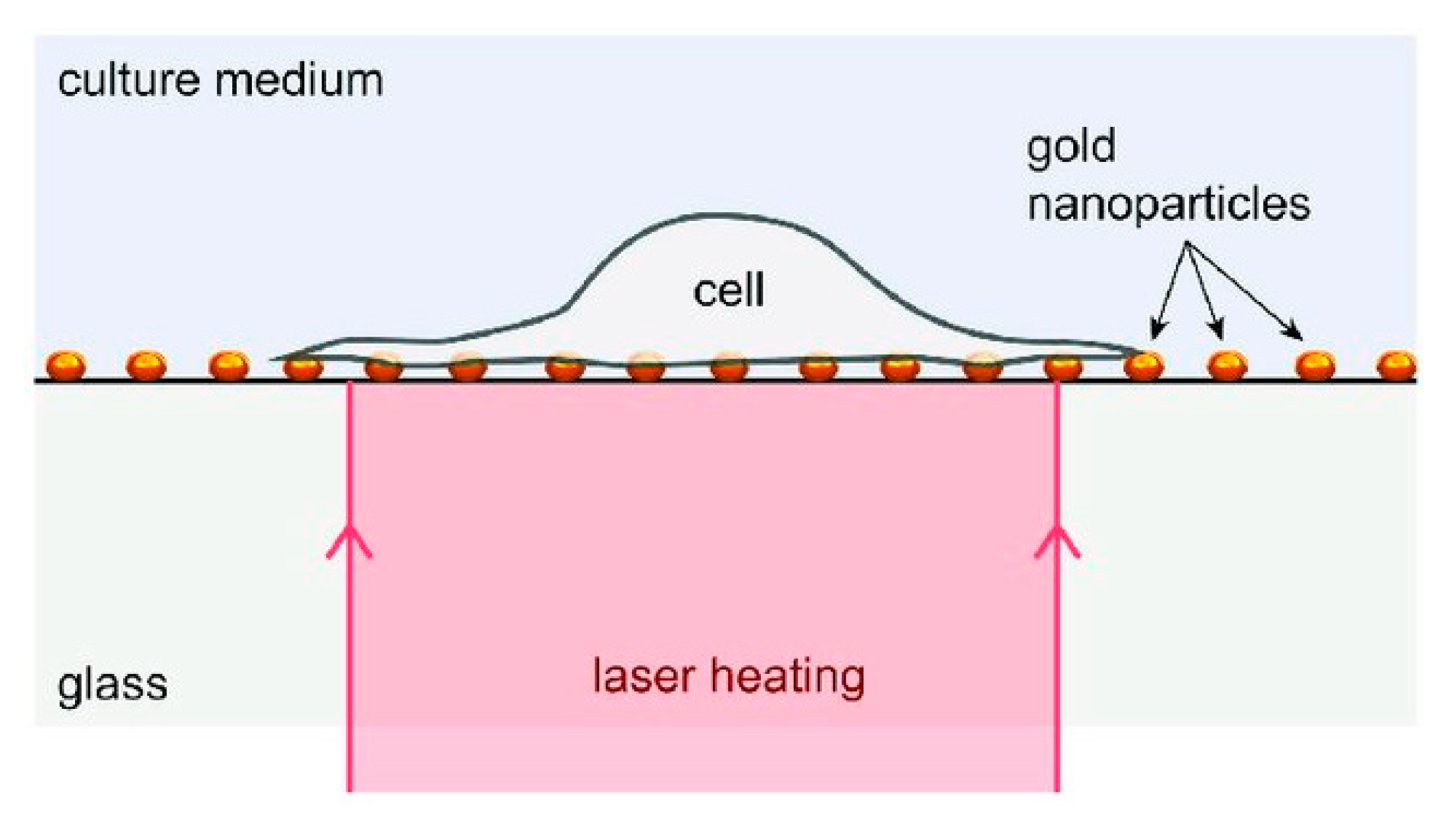 Micromachines 12 00631 g026 Micromachines 12 00631 g026