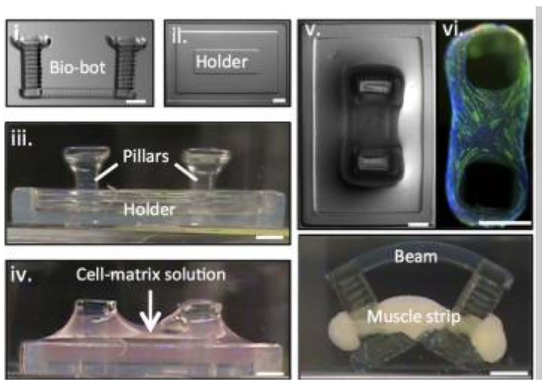 Micromachines 12 00634 g015 Micromachines 12 00634 g015