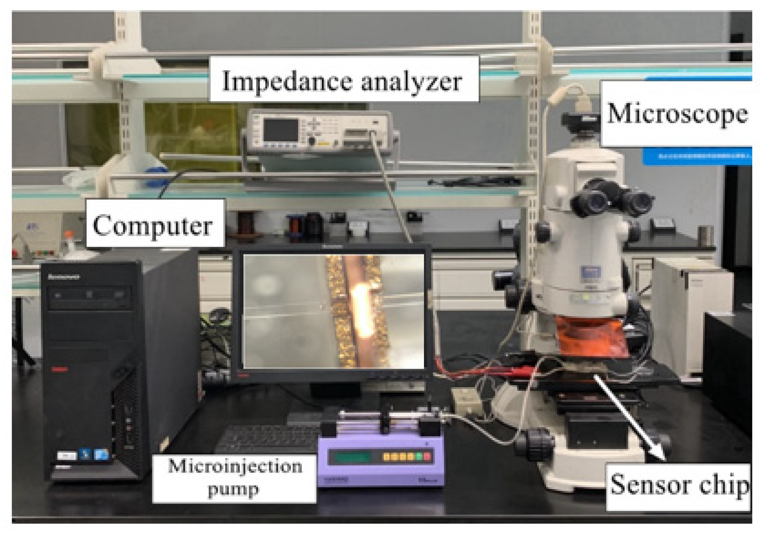 Micromachines 12 00638 g008
