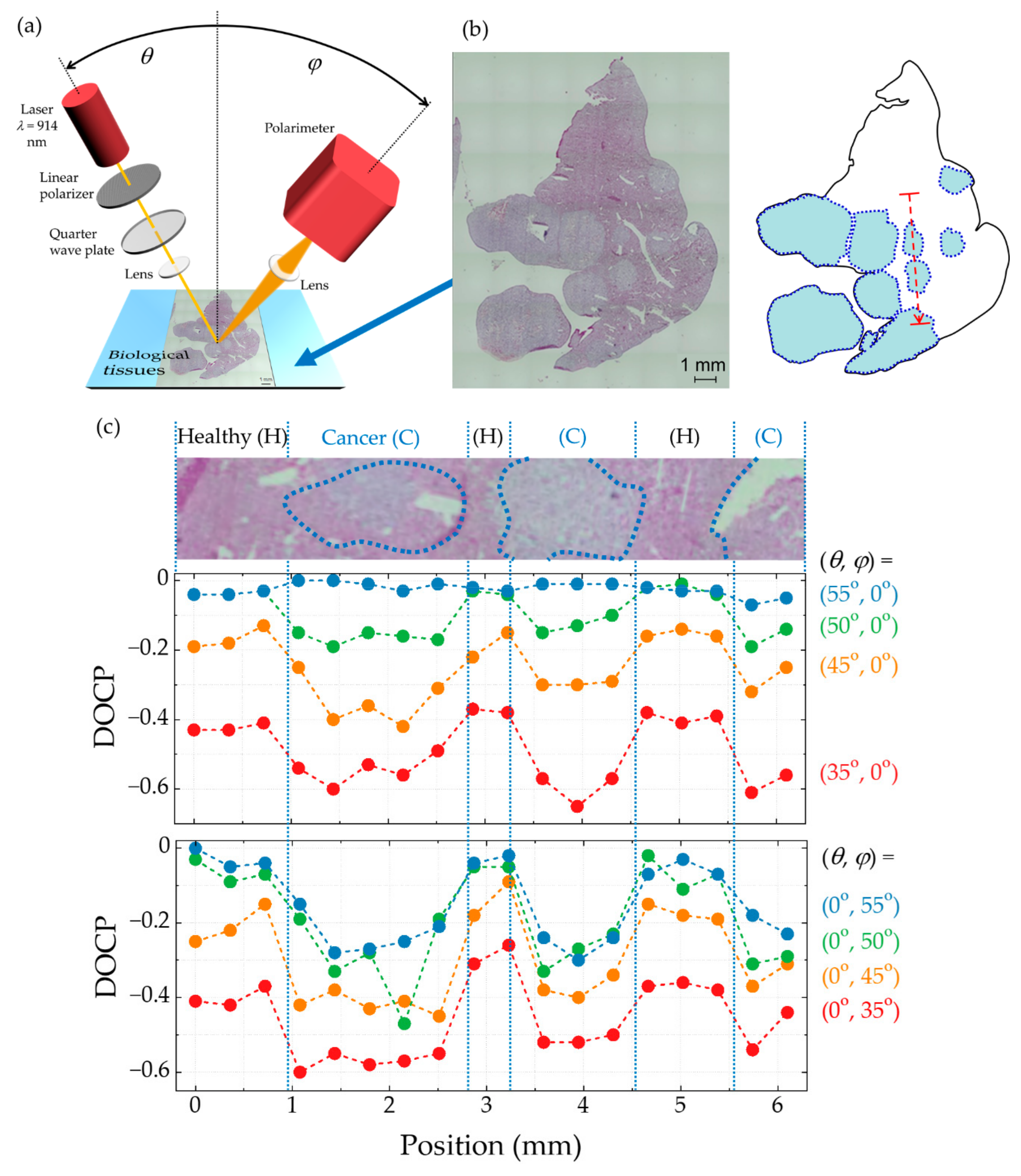 Micromachines 12 00644 g010