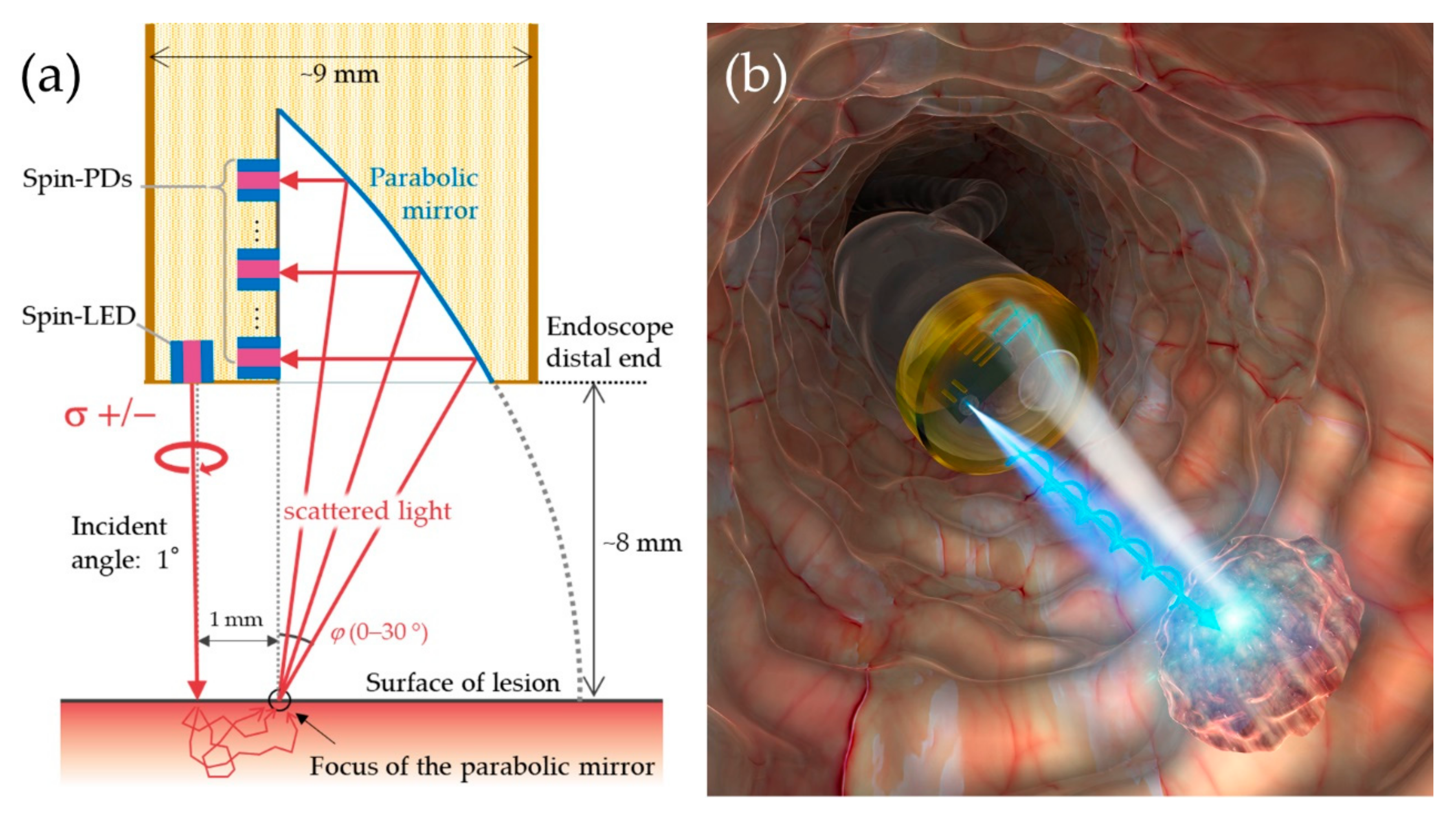 Micromachines 12 00644 g012