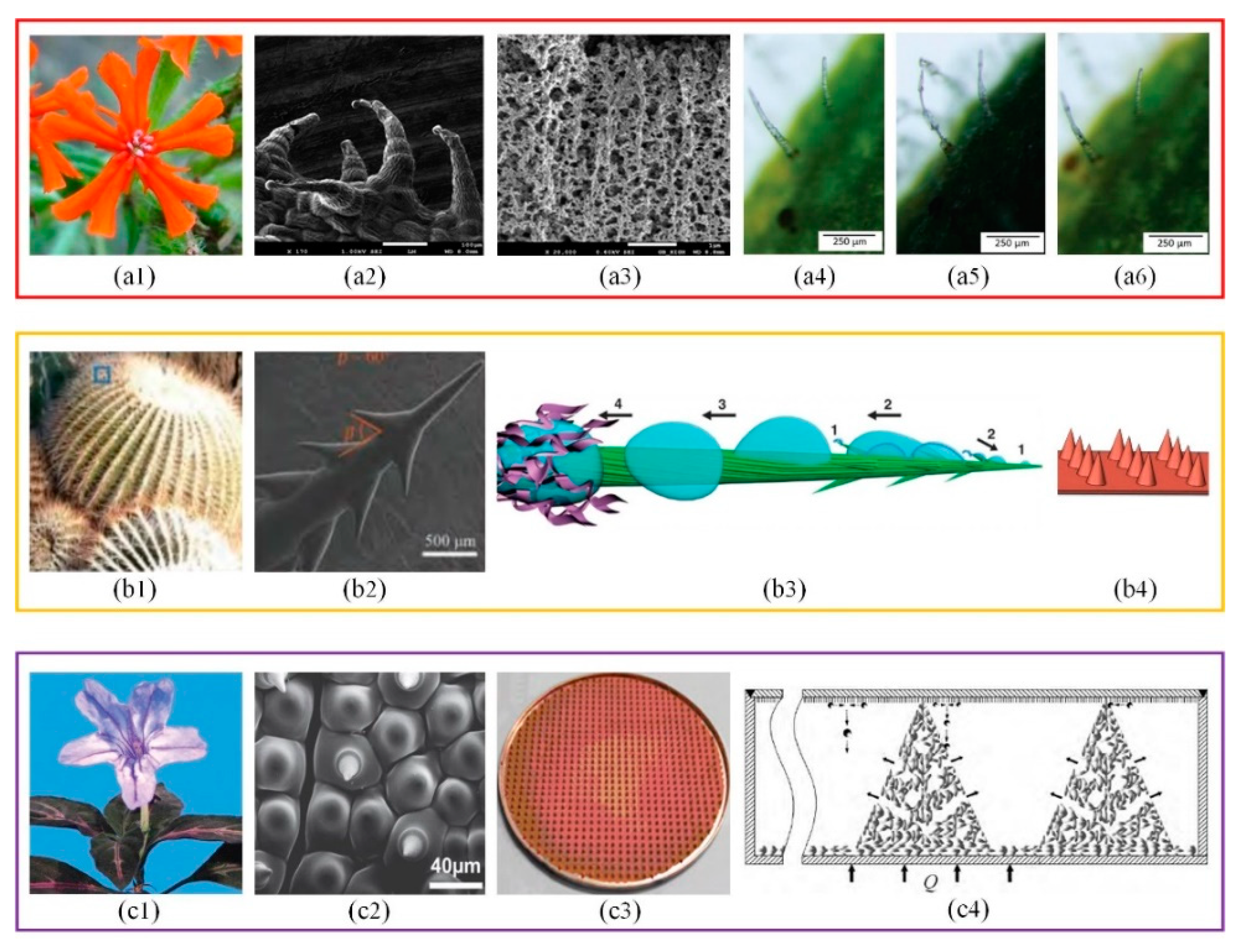 Micromachines 12 00656 g002