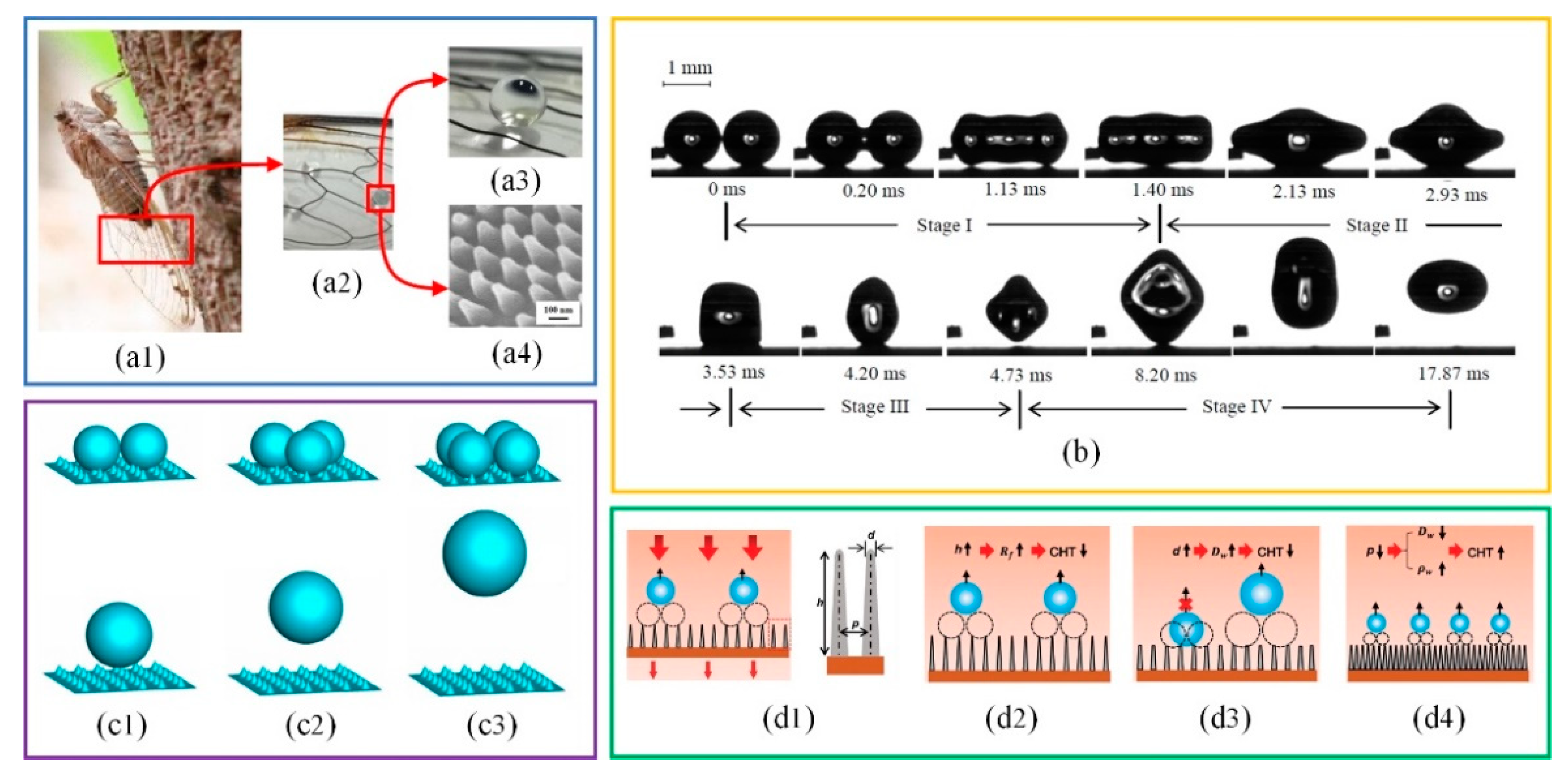 Micromachines 12 00656 g003