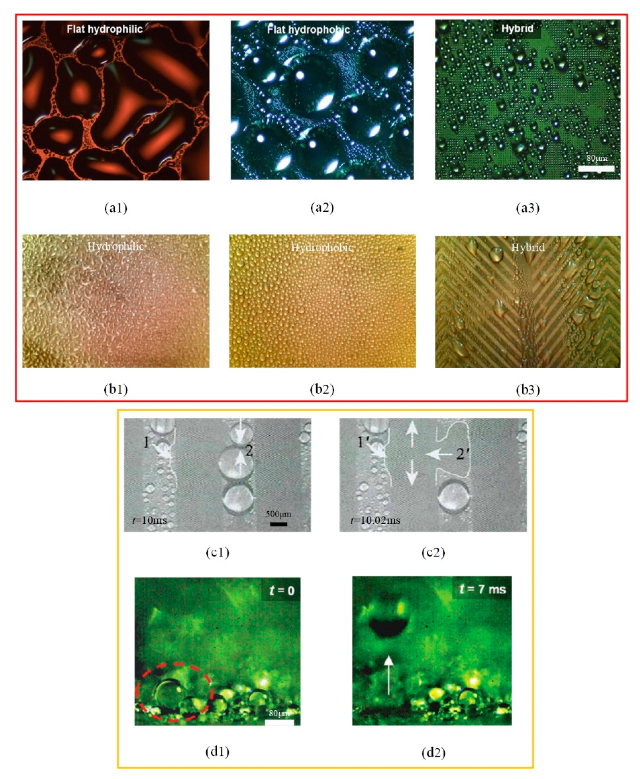 Micromachines 12 00656 g005