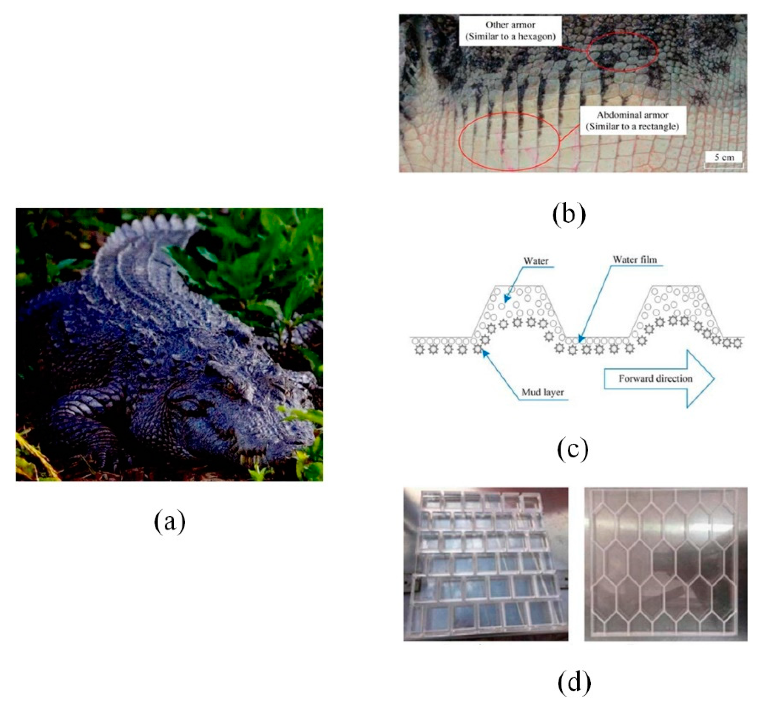 Micromachines 12 00656 g008
