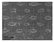 Micromachines 12 00656 i003