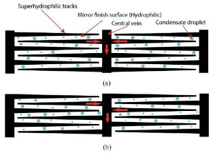 Micromachines 12 00656 i006