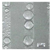 Micromachines 12 00656 i007