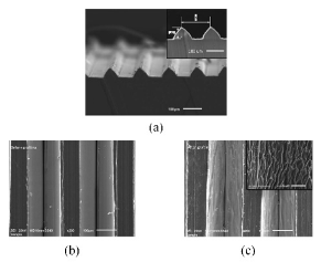 Micromachines 12 00656 i012