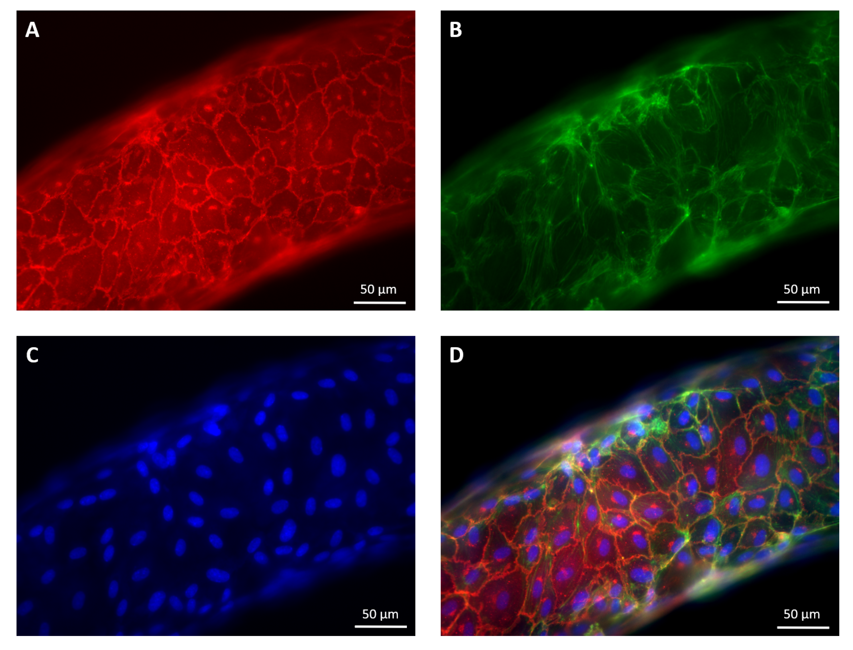 Micromachines 12 00658 g004 Micromachines 12 00658 g004