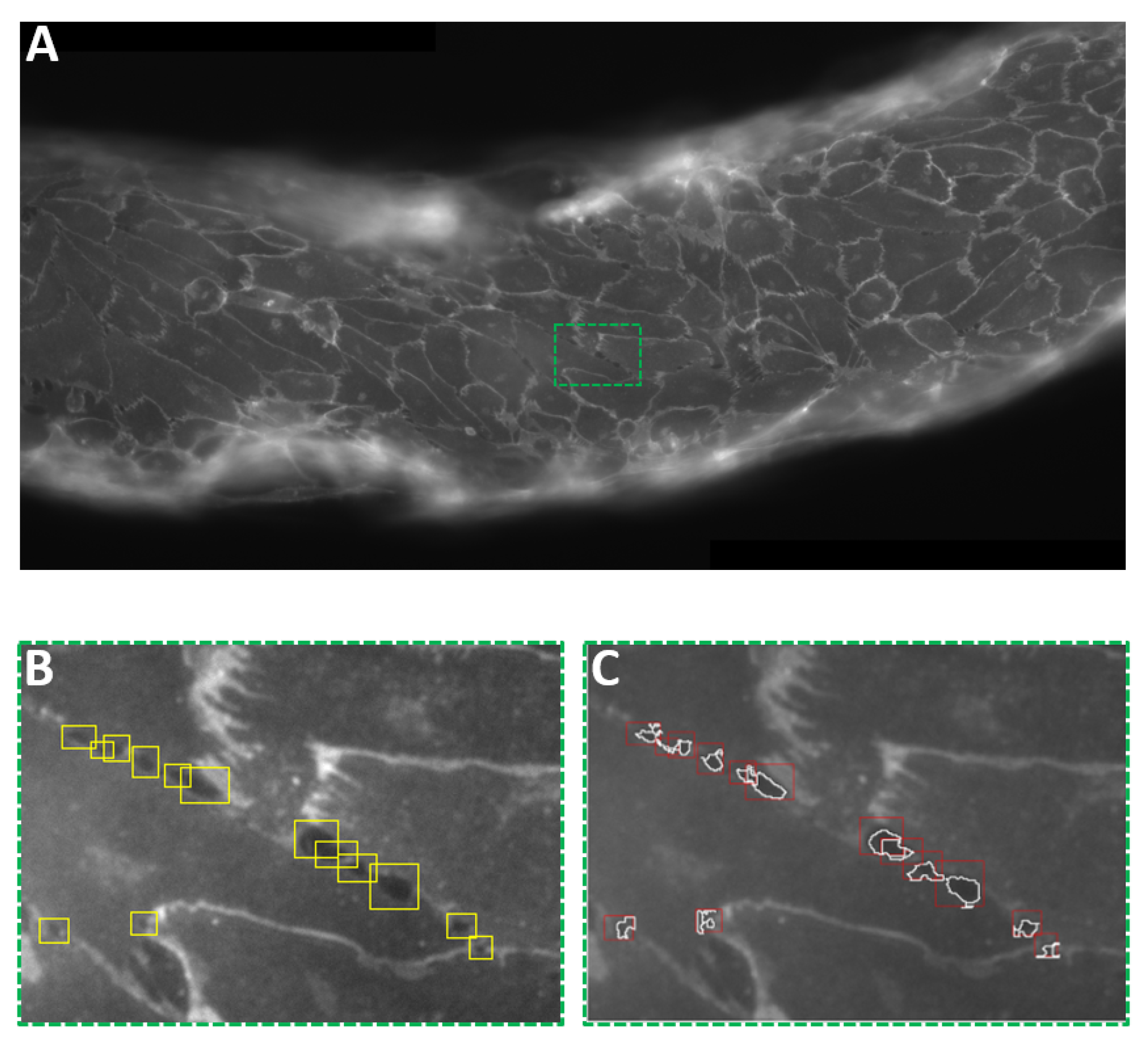 Micromachines 12 00658 g005 Micromachines 12 00658 g005