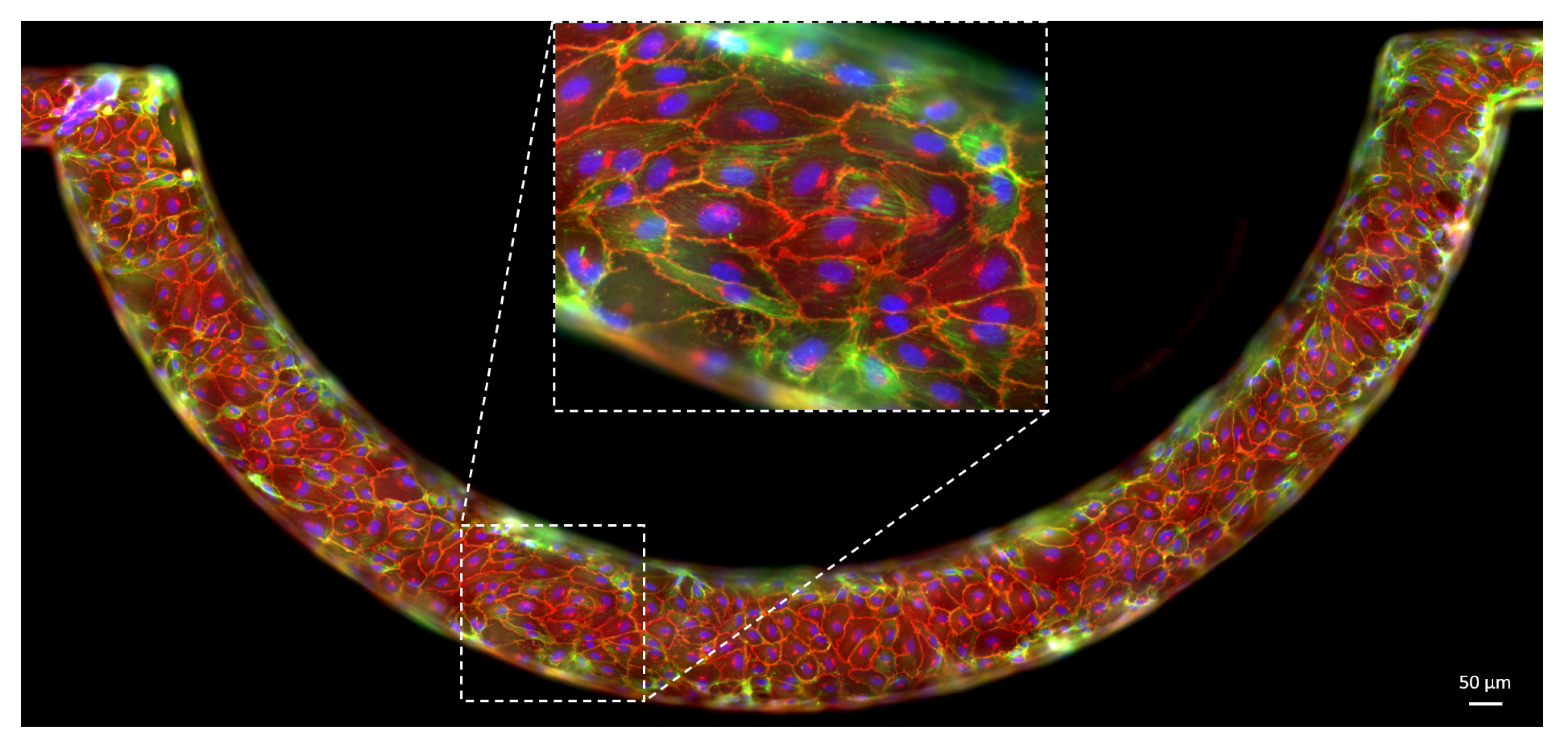 Micromachines 12 00658 g006 Micromachines 12 00658 g006