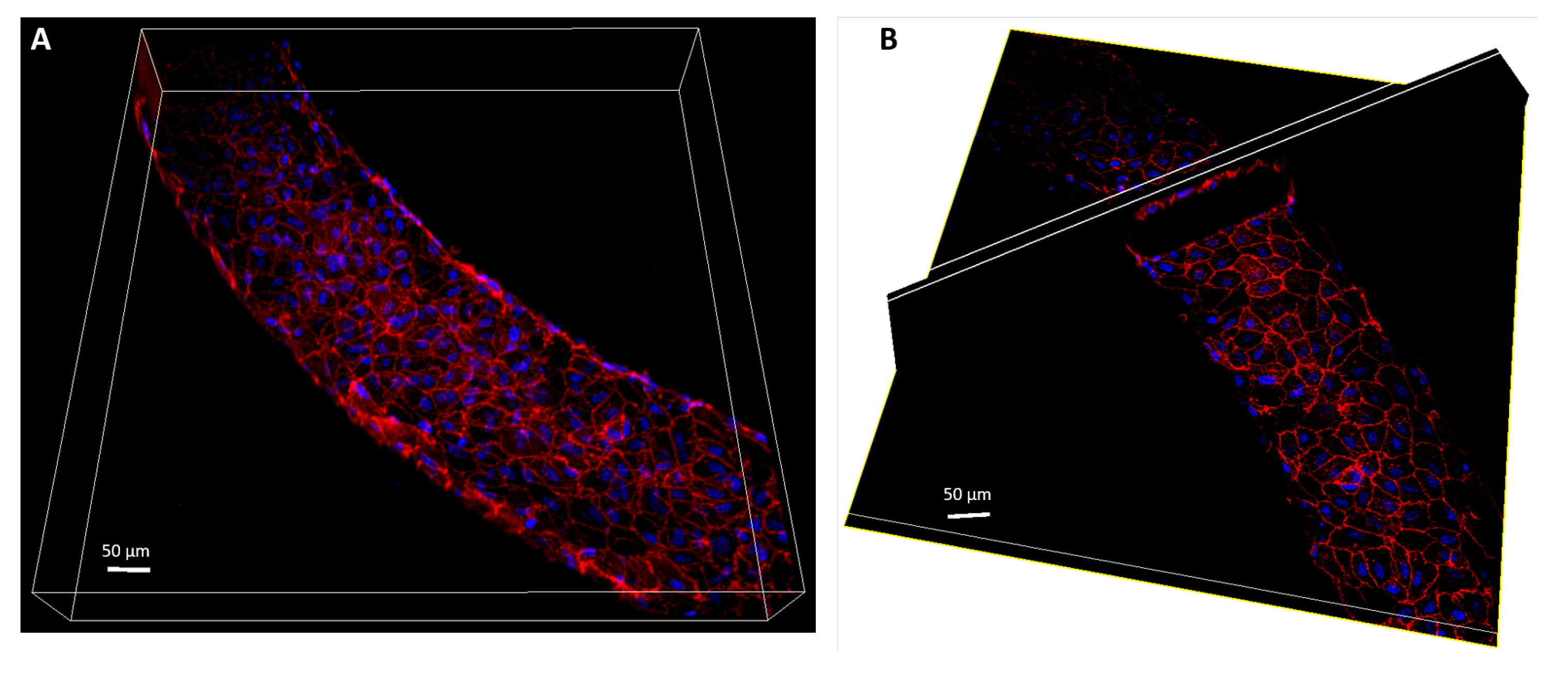 Micromachines 12 00658 g007 Micromachines 12 00658 g007