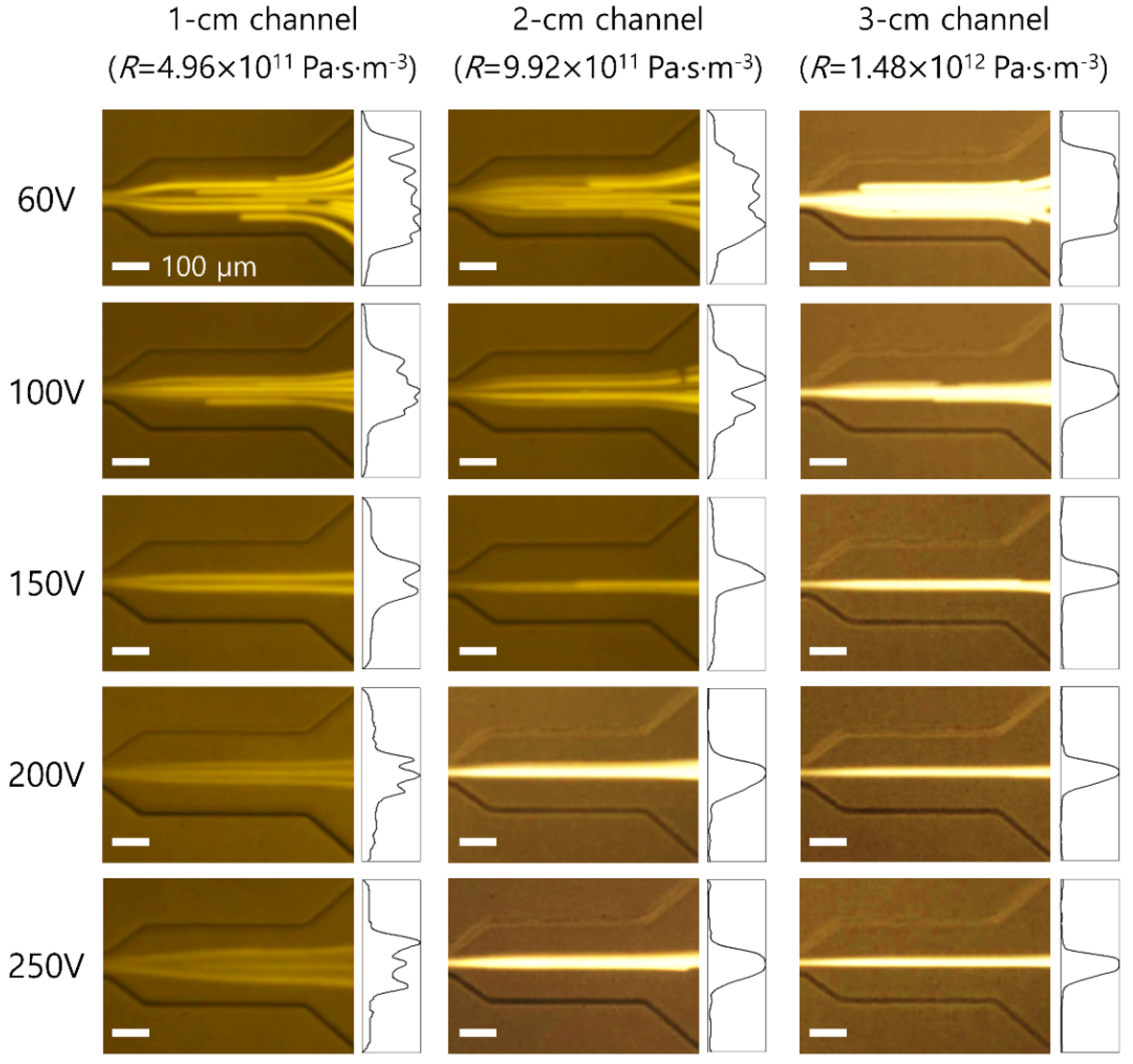 Micromachines 12 00677 g003