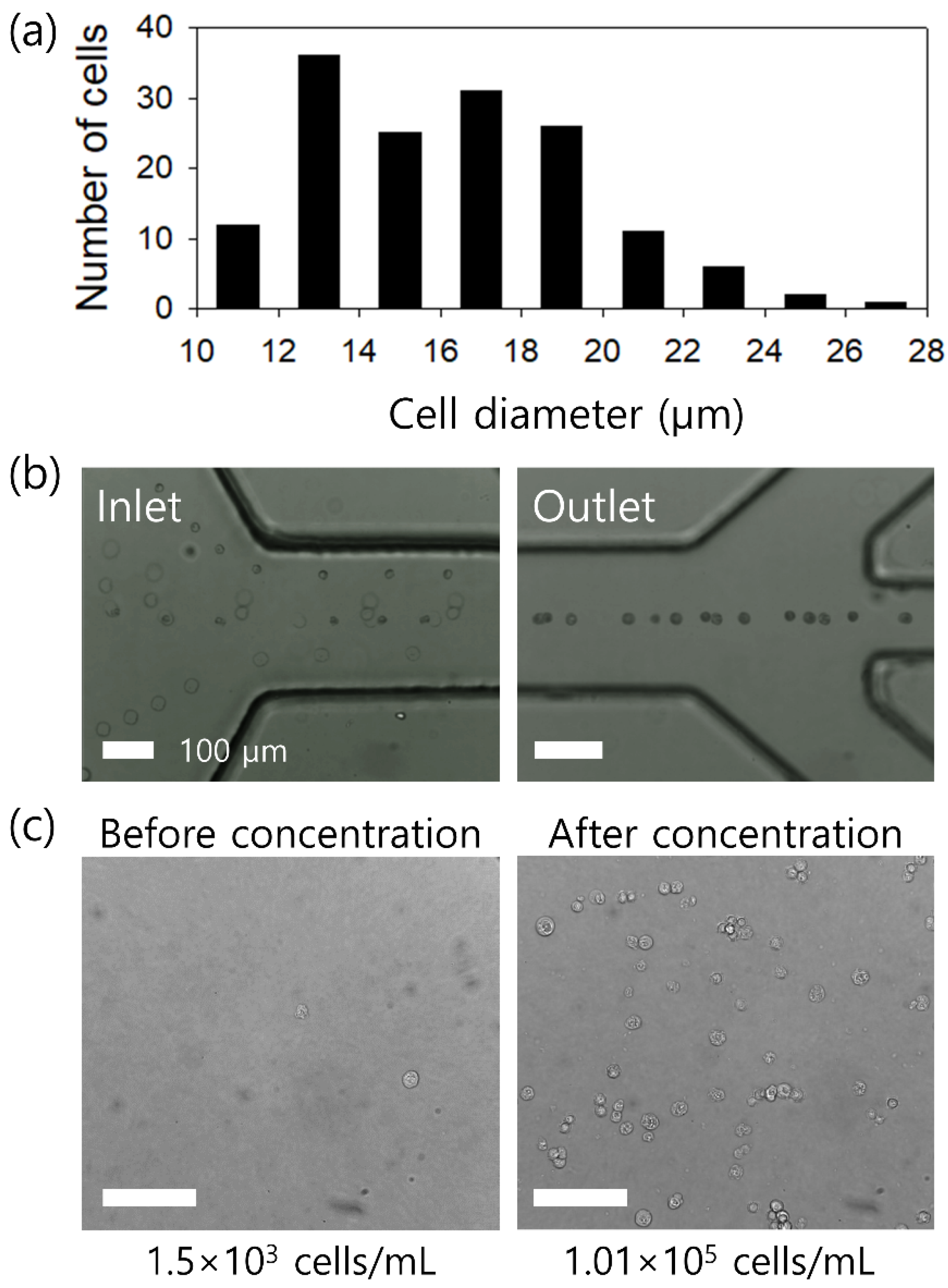 Micromachines 12 00677 g006