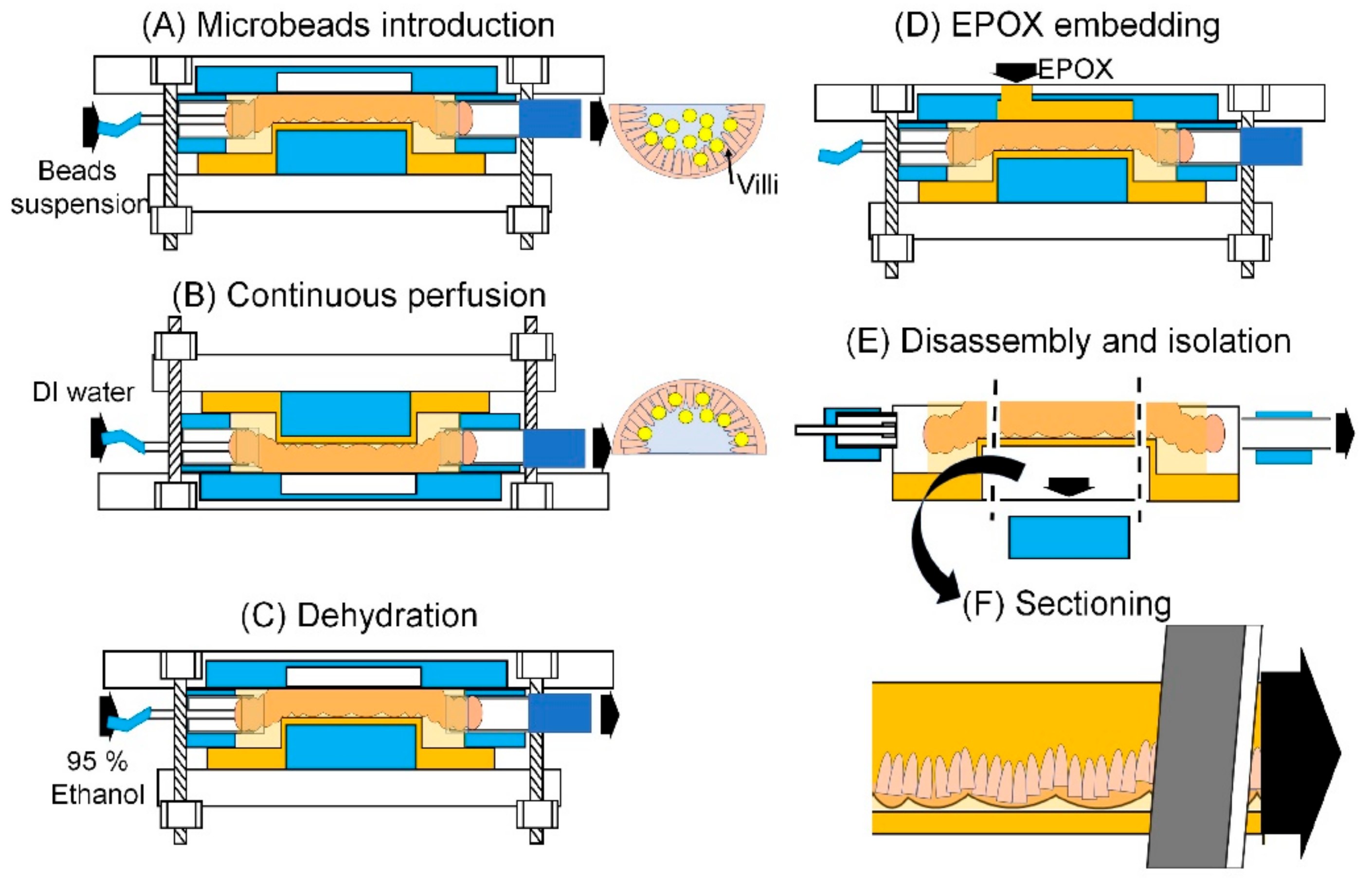 Micromachines 12 00692 g005 Micromachines 12 00692 g005