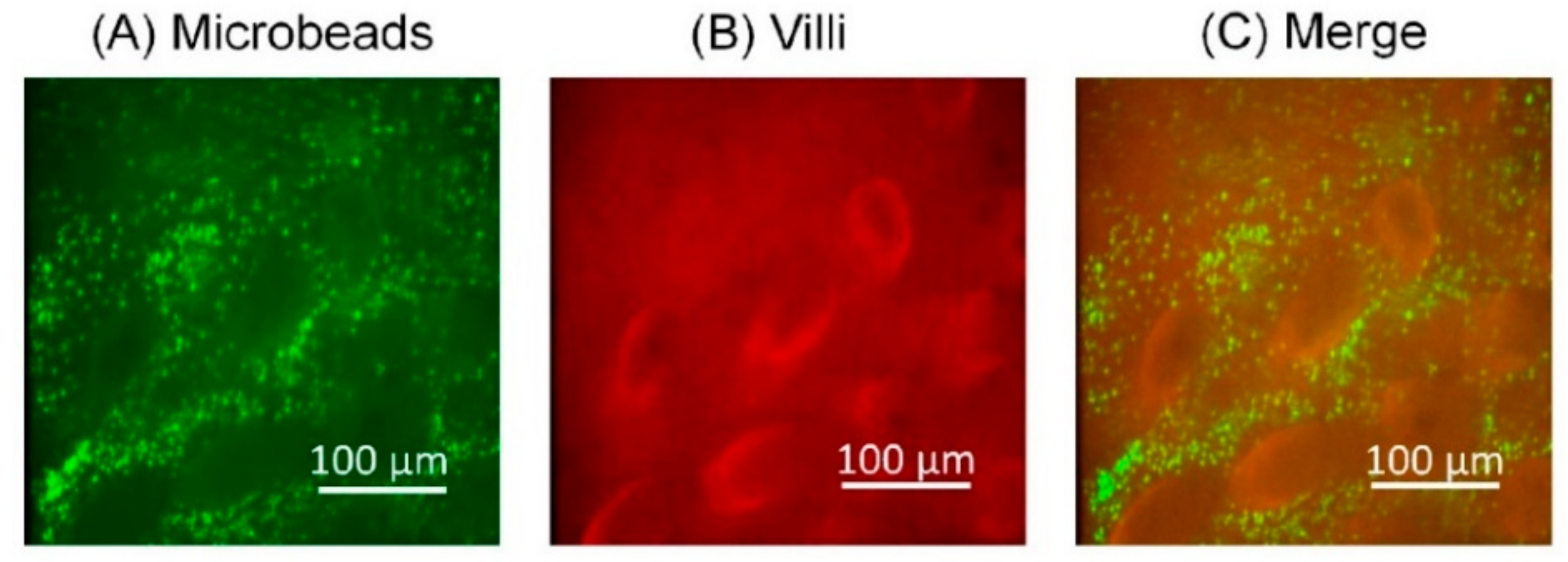 Micromachines 12 00692 g007 Micromachines 12 00692 g007