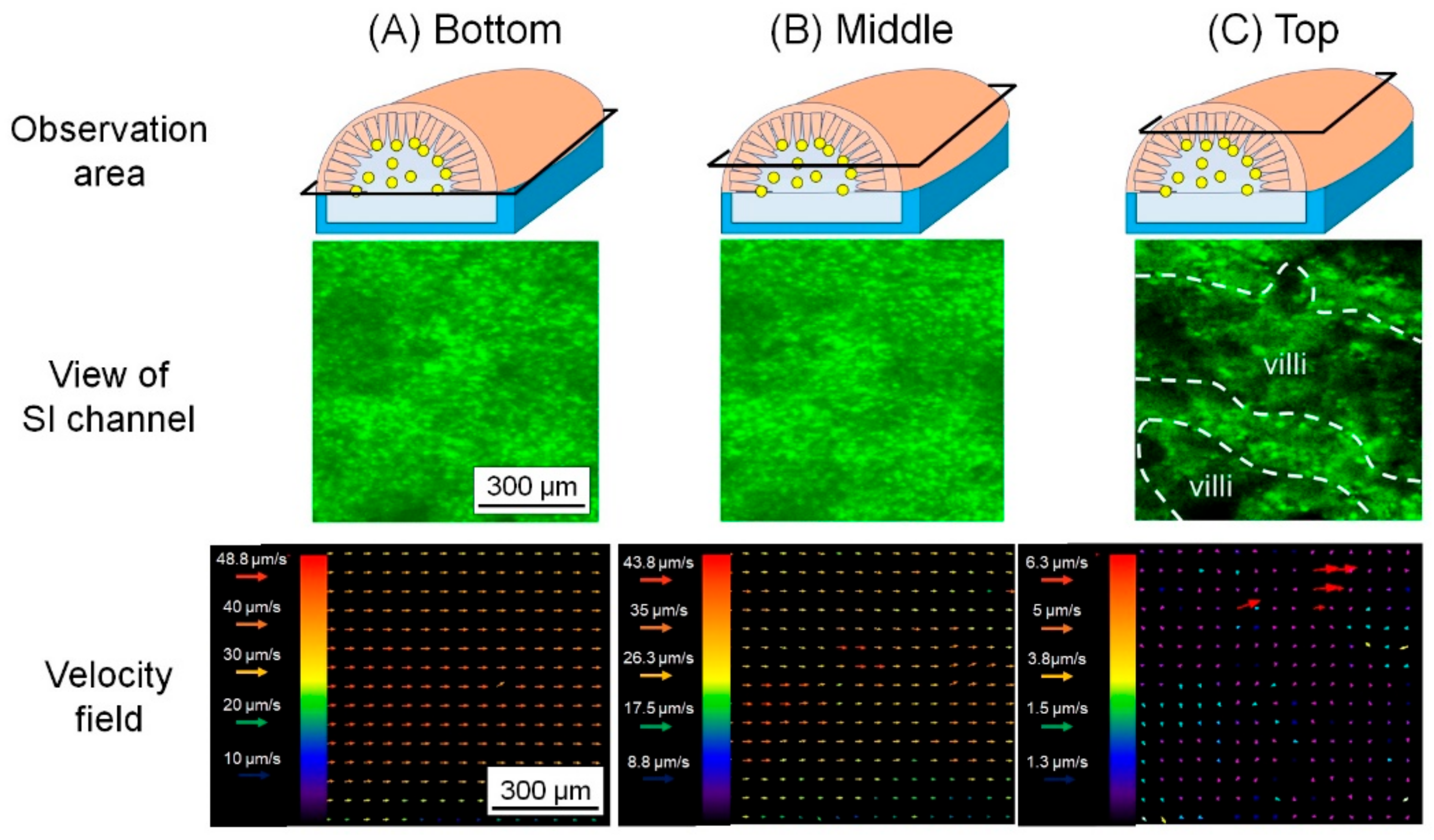 Micromachines 12 00692 g008 Micromachines 12 00692 g008