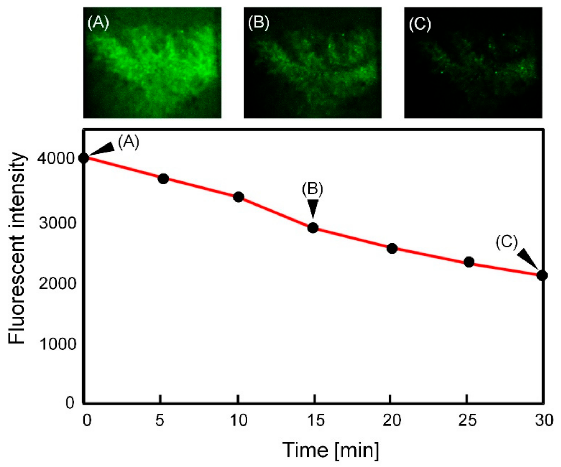 Micromachines 12 00692 g009 Micromachines 12 00692 g009