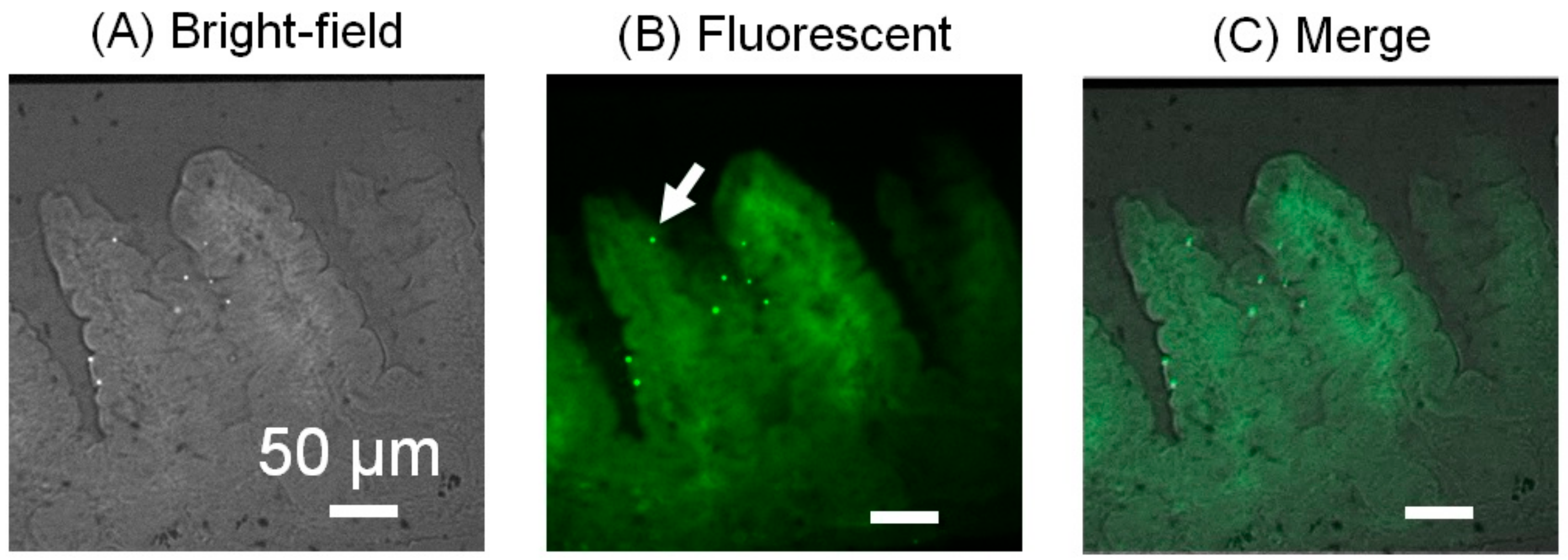 Micromachines 12 00692 g011 Micromachines 12 00692 g011