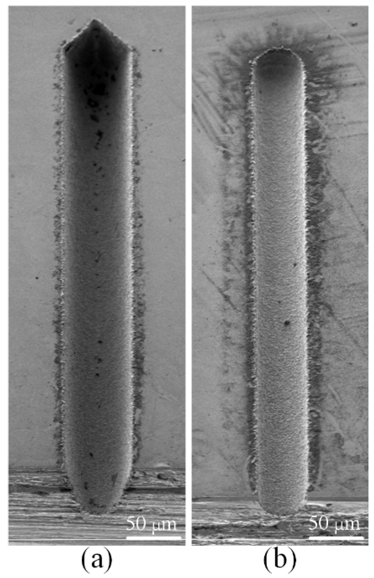 Micromachines 12 00711 g021
