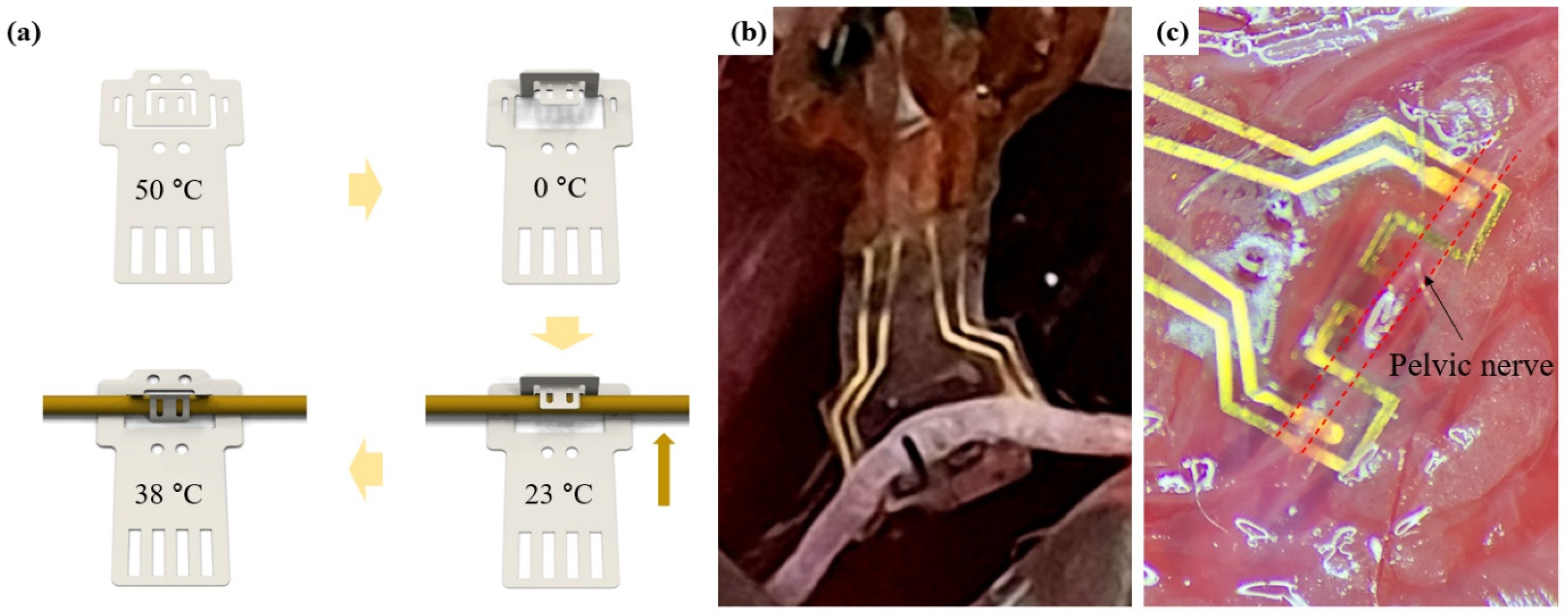 Micromachines 12 00720 g005