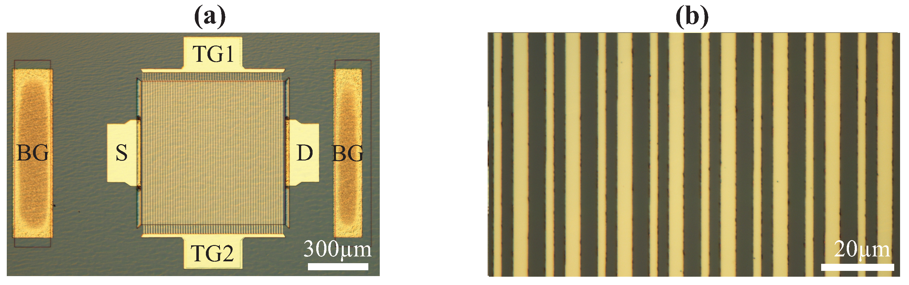 Micromachines 12 00721 g003 Micromachines 12 00721 g003