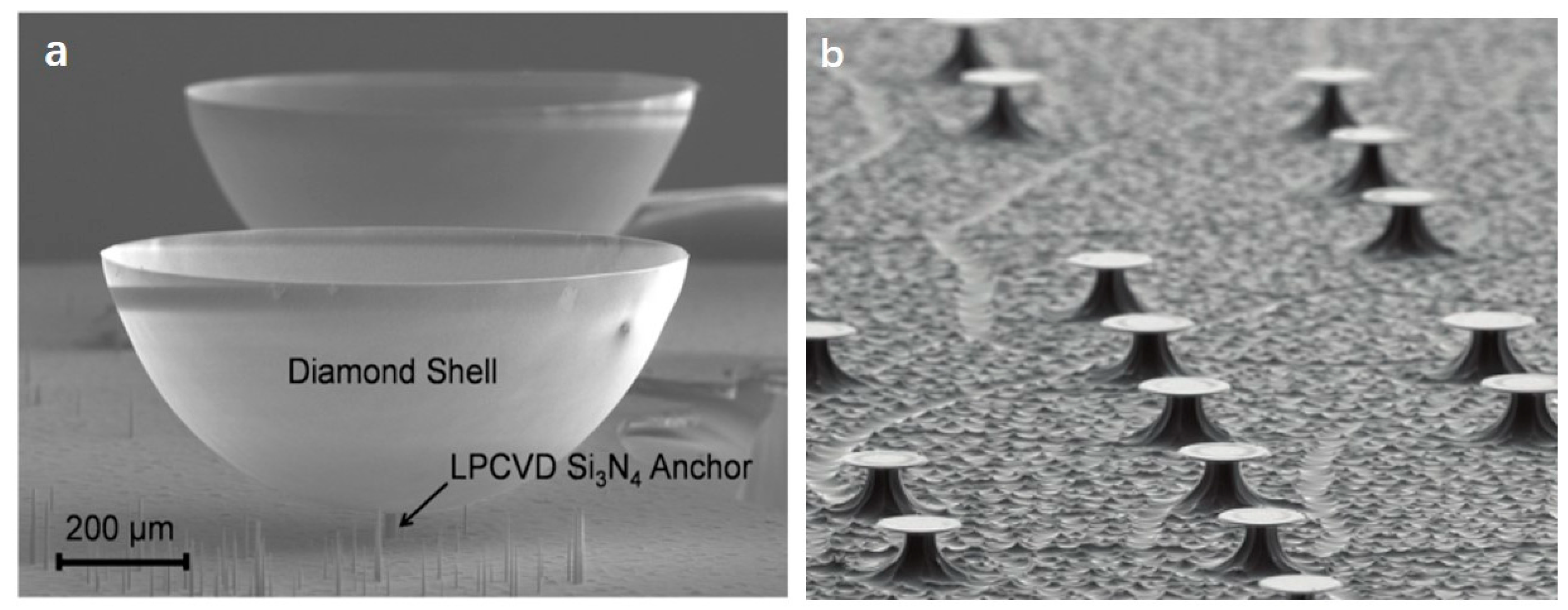 Micromachines 12 00724 g007 Micromachines 12 00724 g007