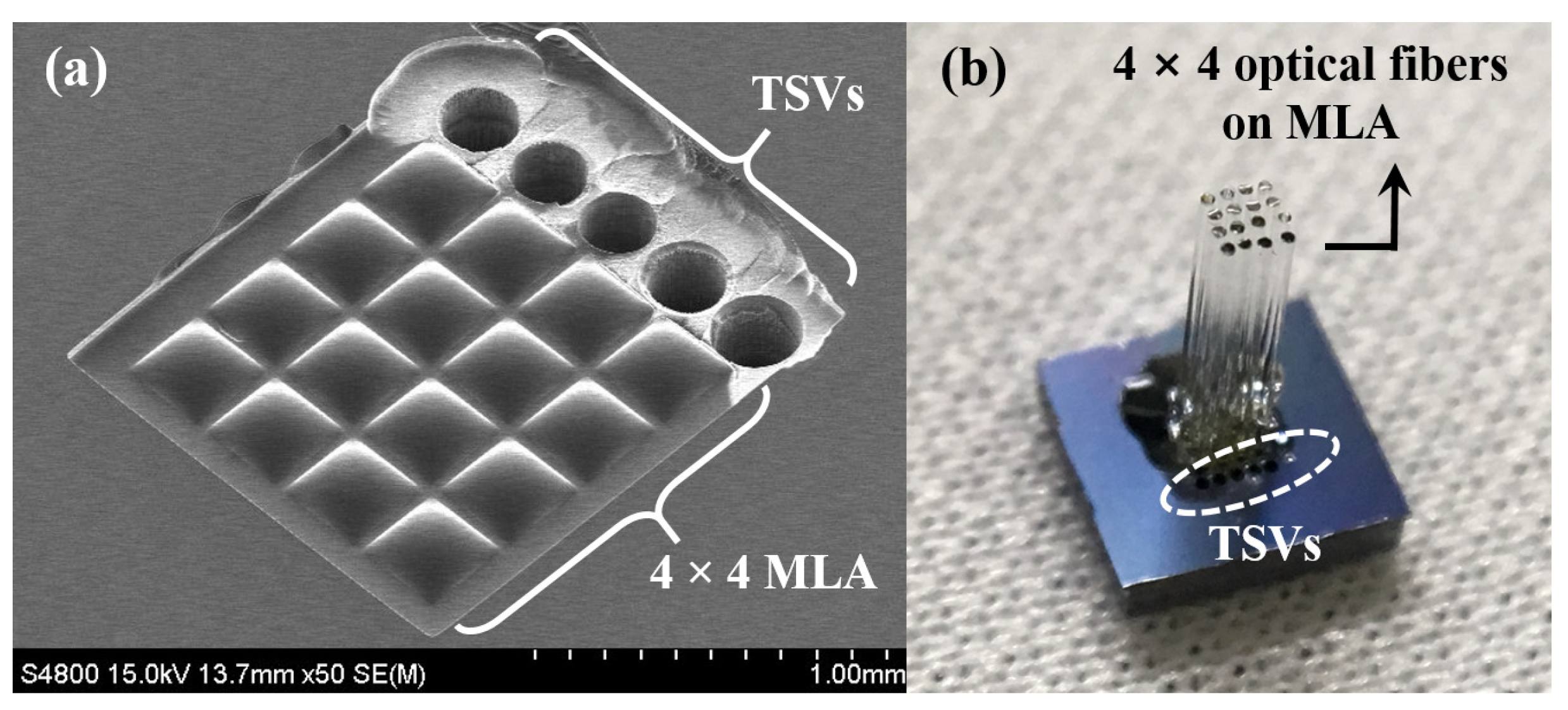Micromachines 12 00725 g002 Micromachines 12 00725 g002