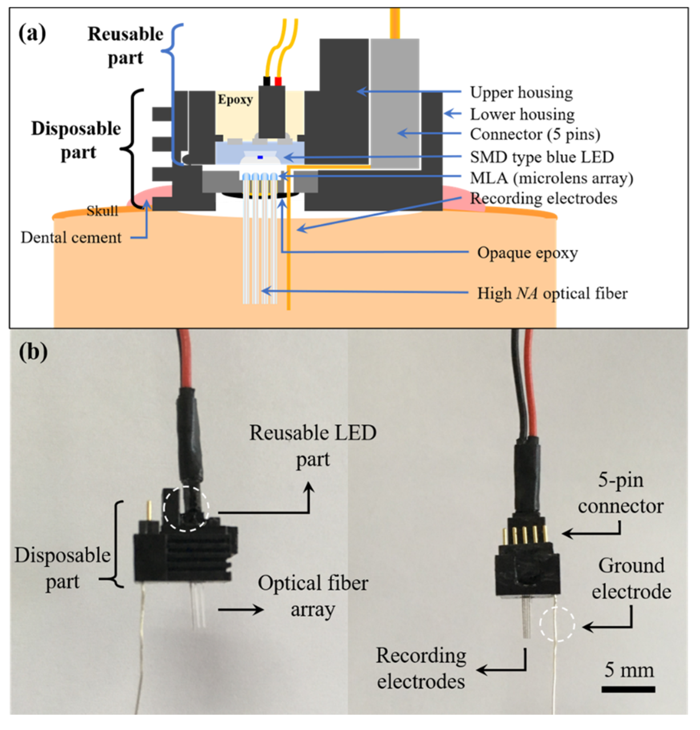 Micromachines 12 00725 g003 Micromachines 12 00725 g003