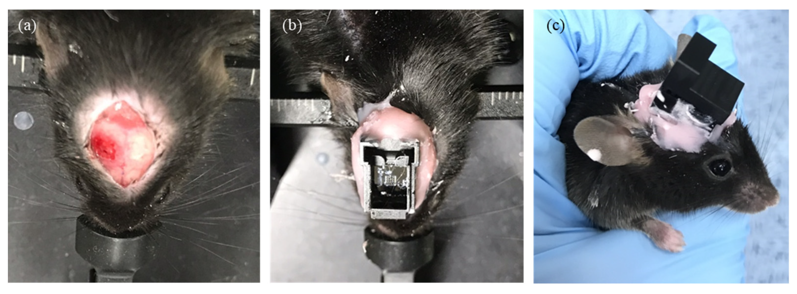 Micromachines 12 00725 g005 Micromachines 12 00725 g005