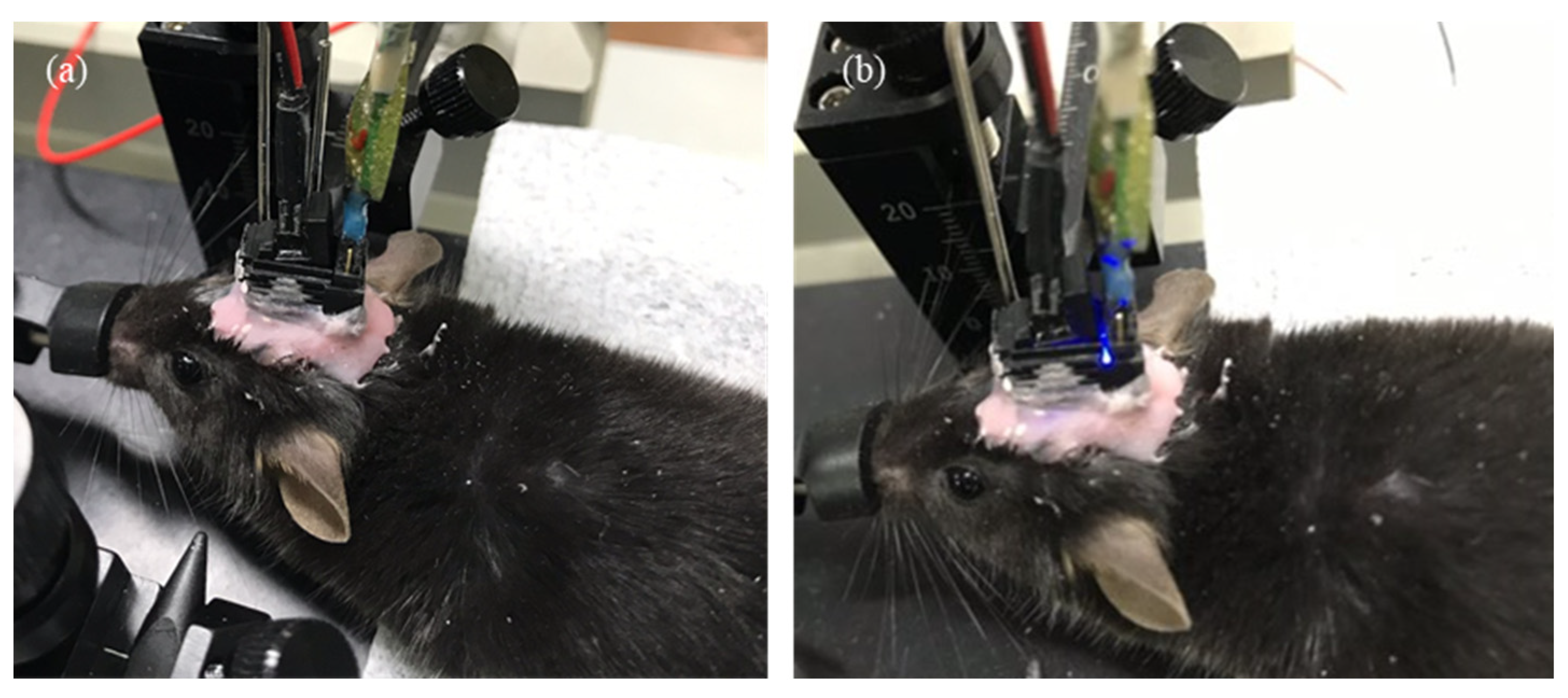 Micromachines 12 00725 g006 Micromachines 12 00725 g006